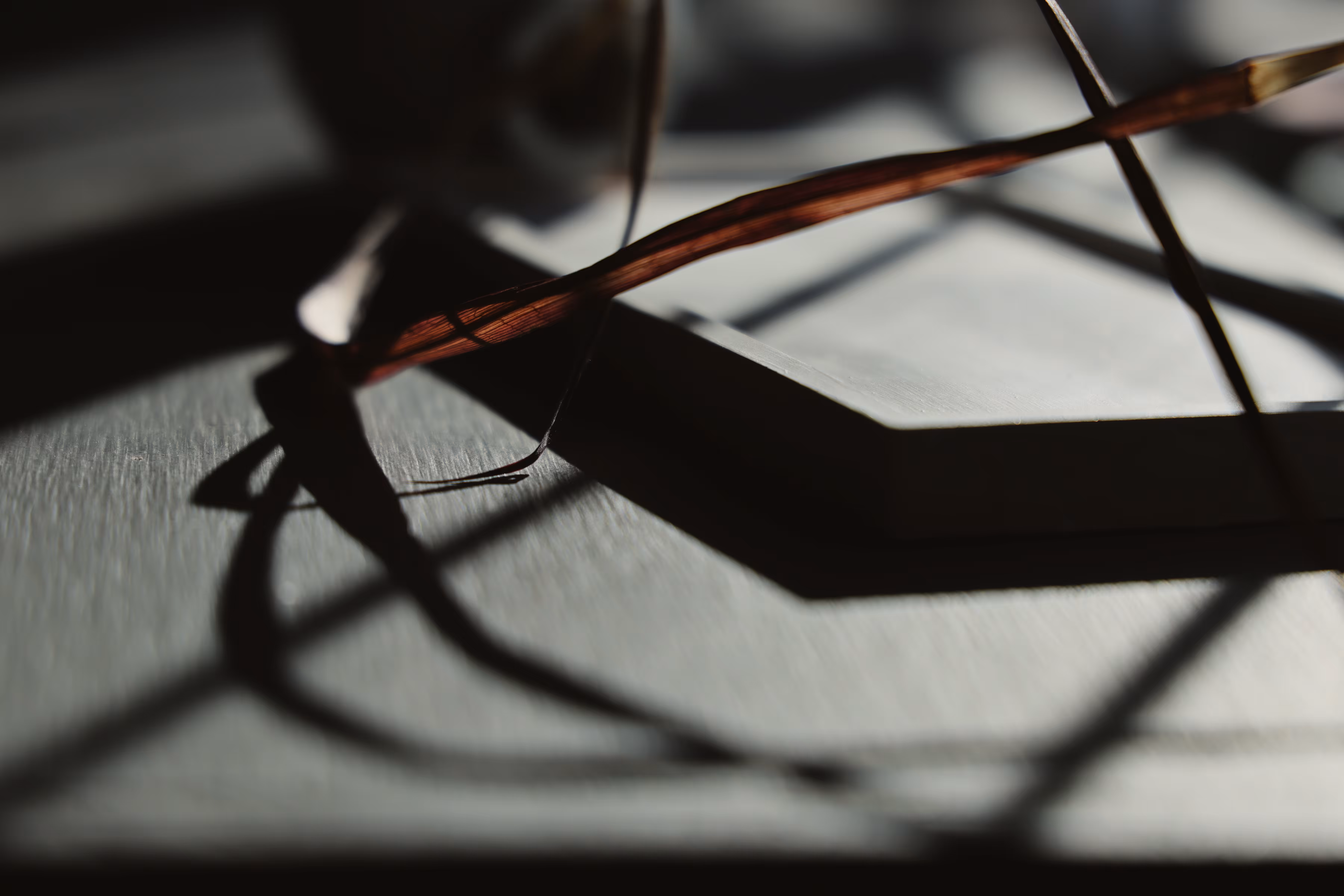 _hidden year