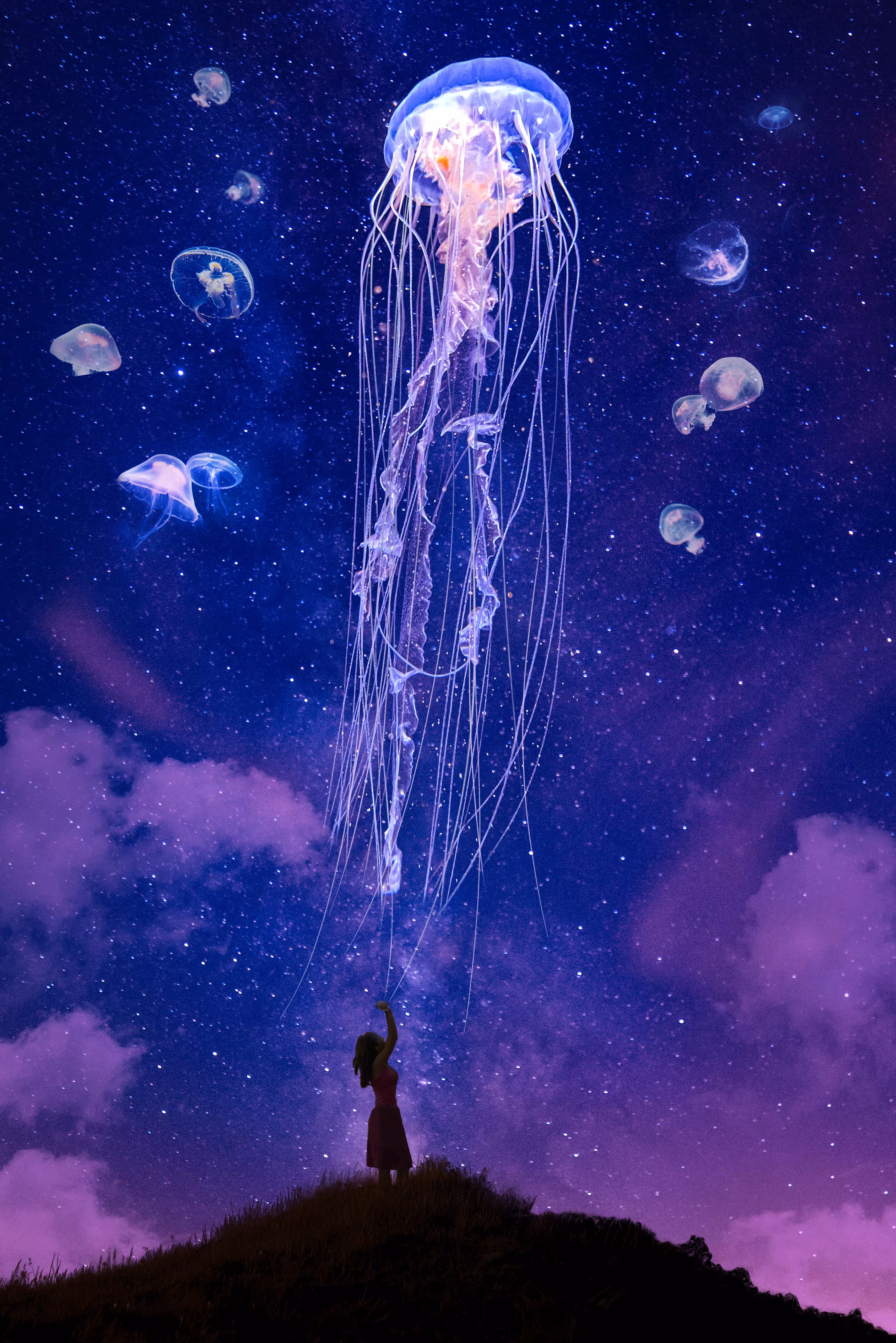 The bride of sea 