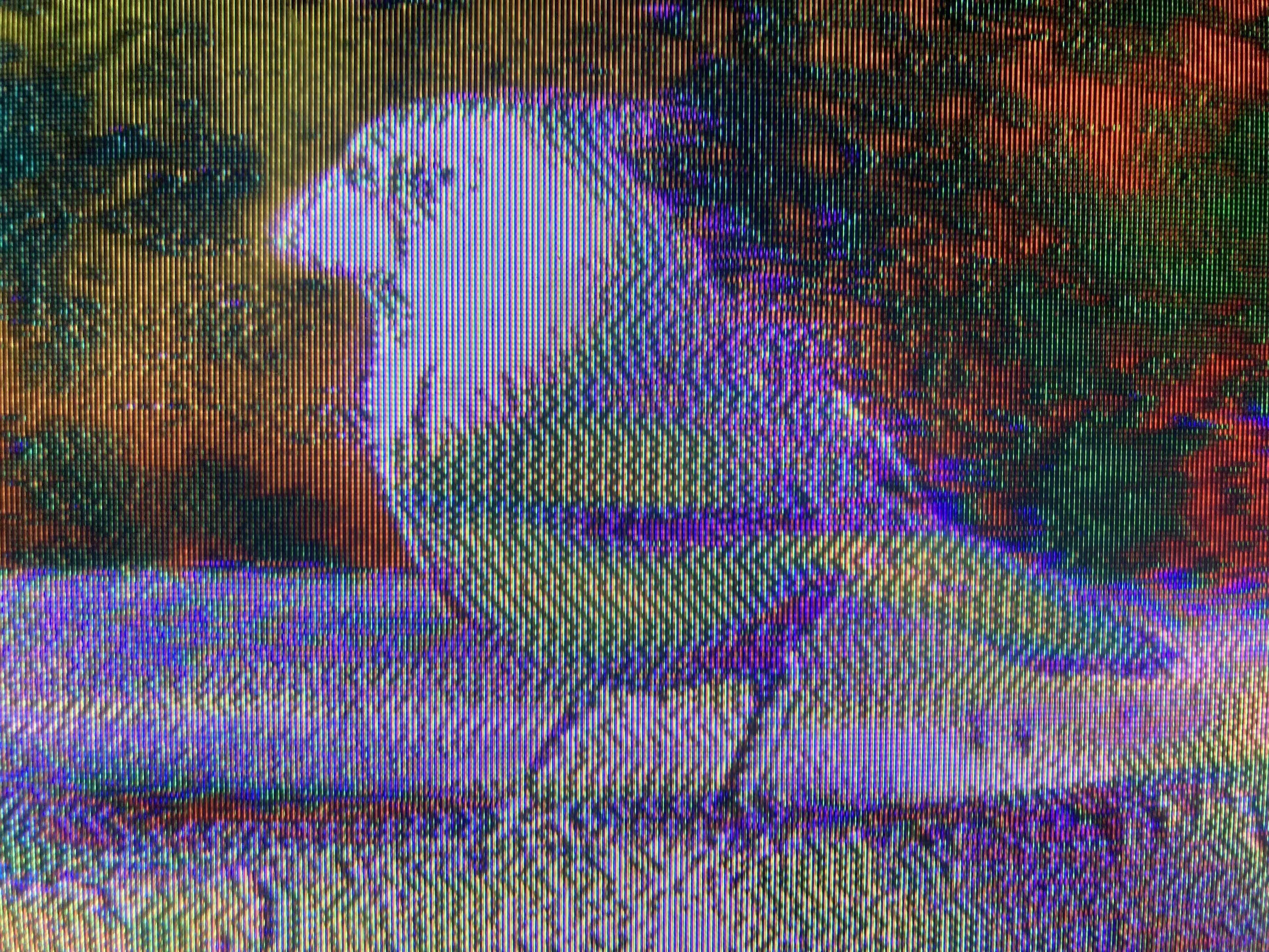 glitchbirb-001