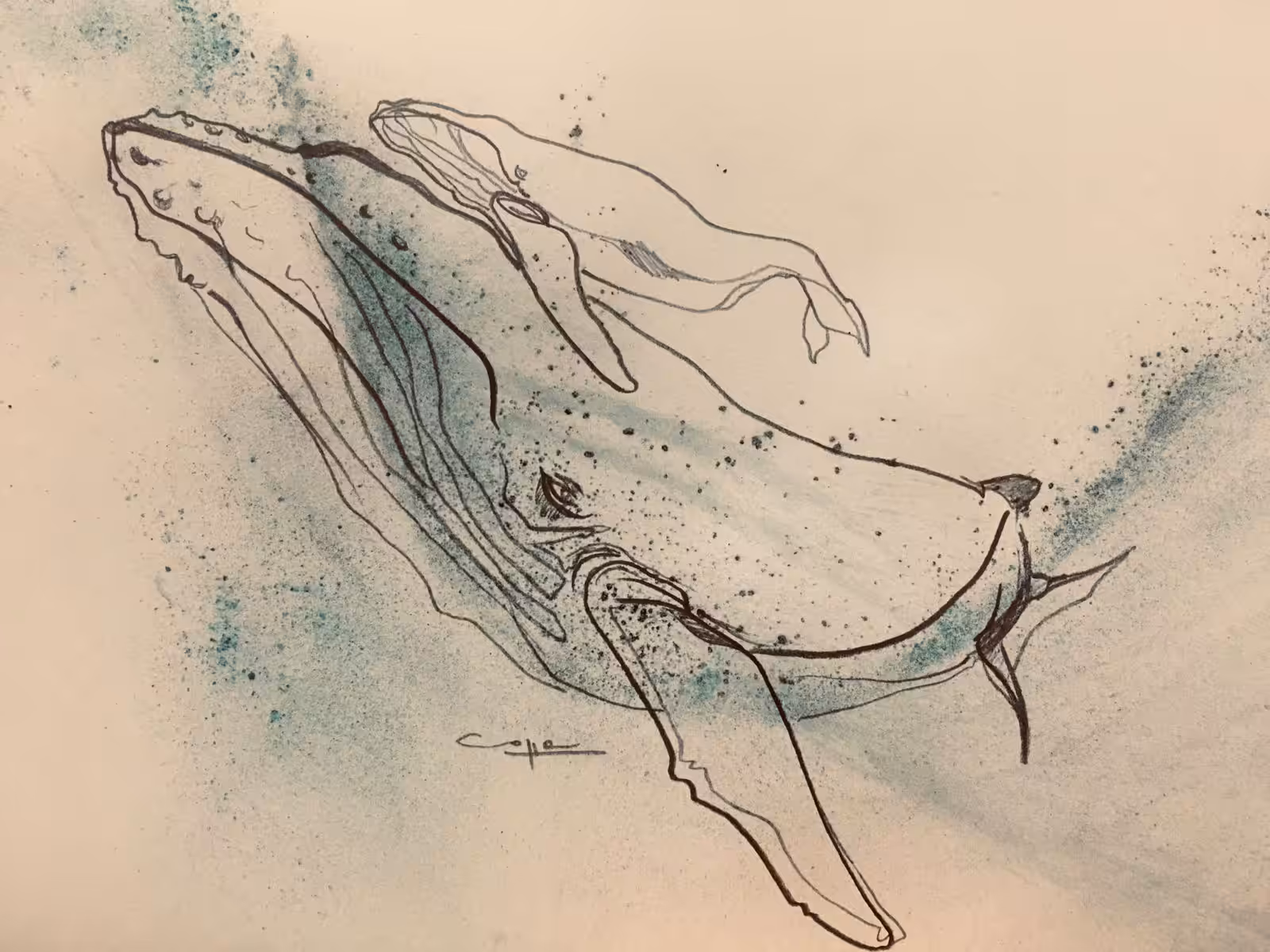Yene | Ballena | Whale | Baleine