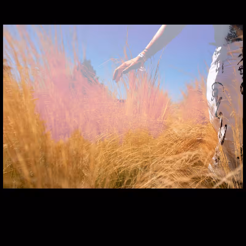 Errors IV // Seasons #3