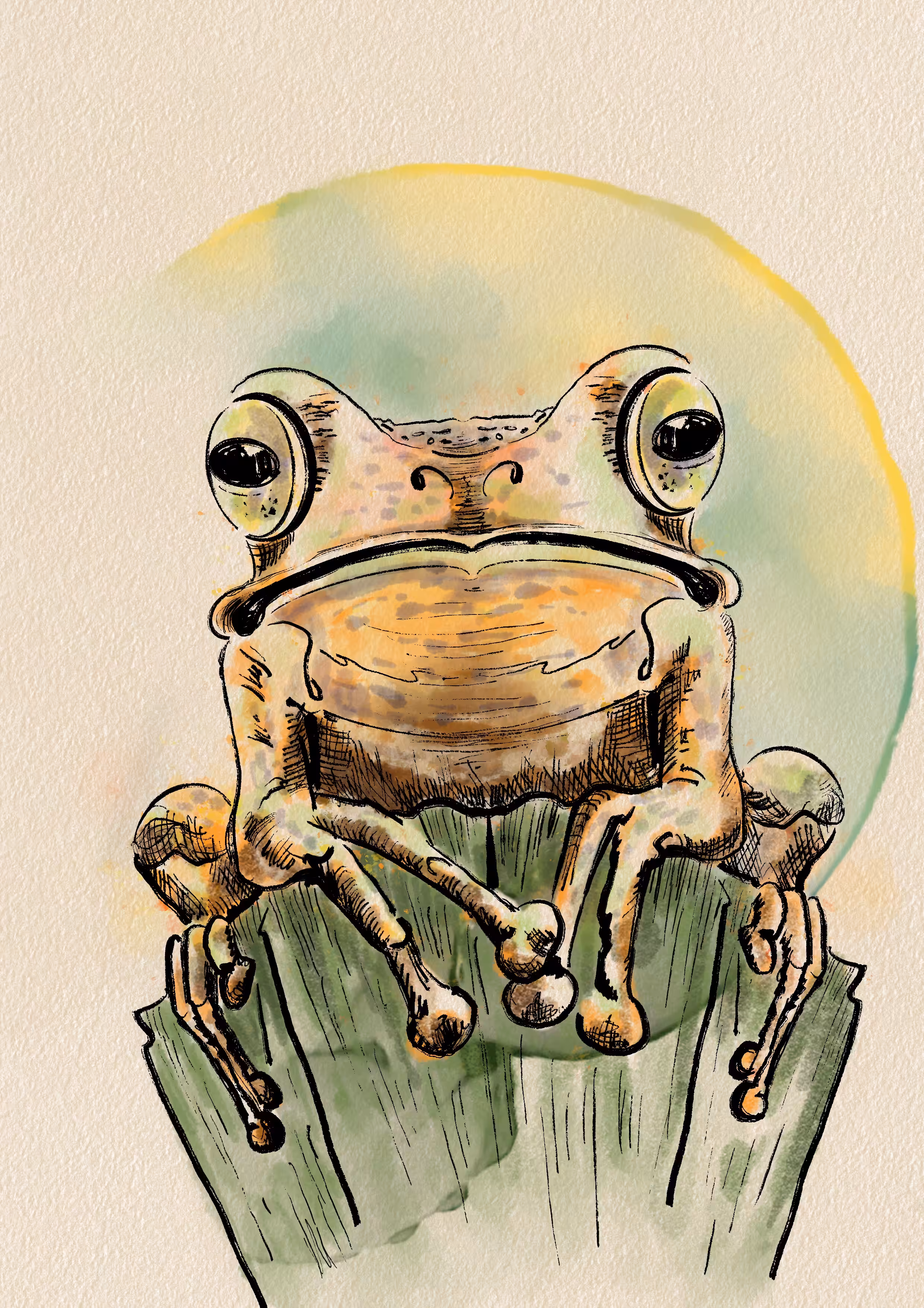 Little Frog in a Drop of Dew