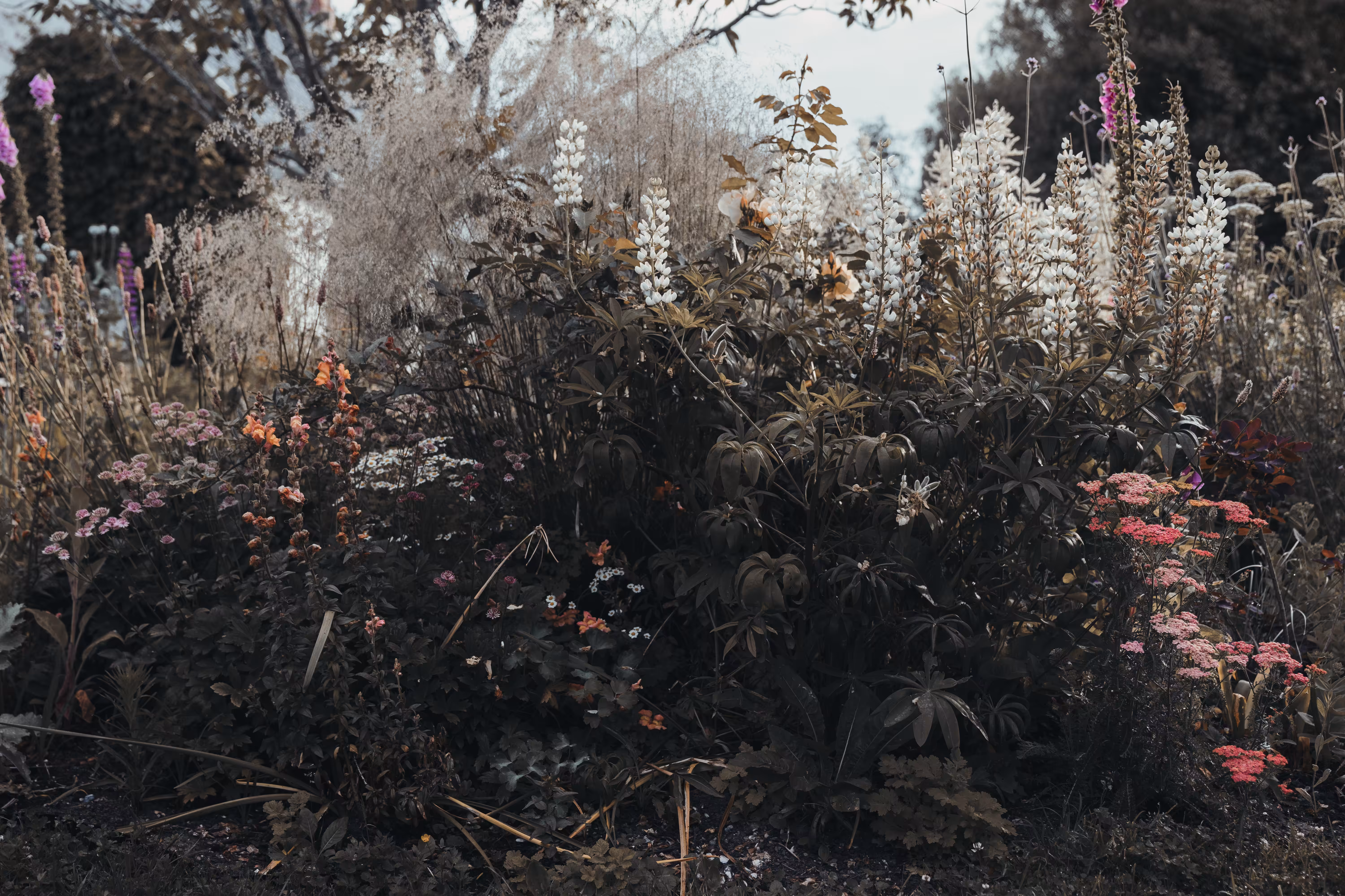 Garden of Eden II