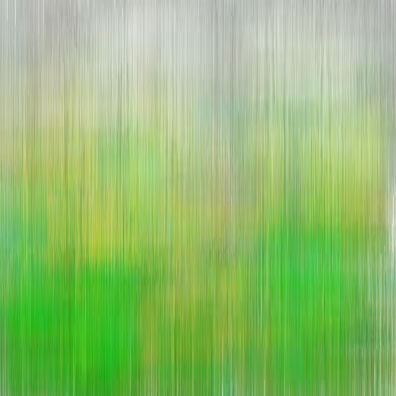 Hatch Field 001 #256