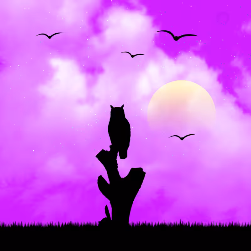 We Care...Owl #2