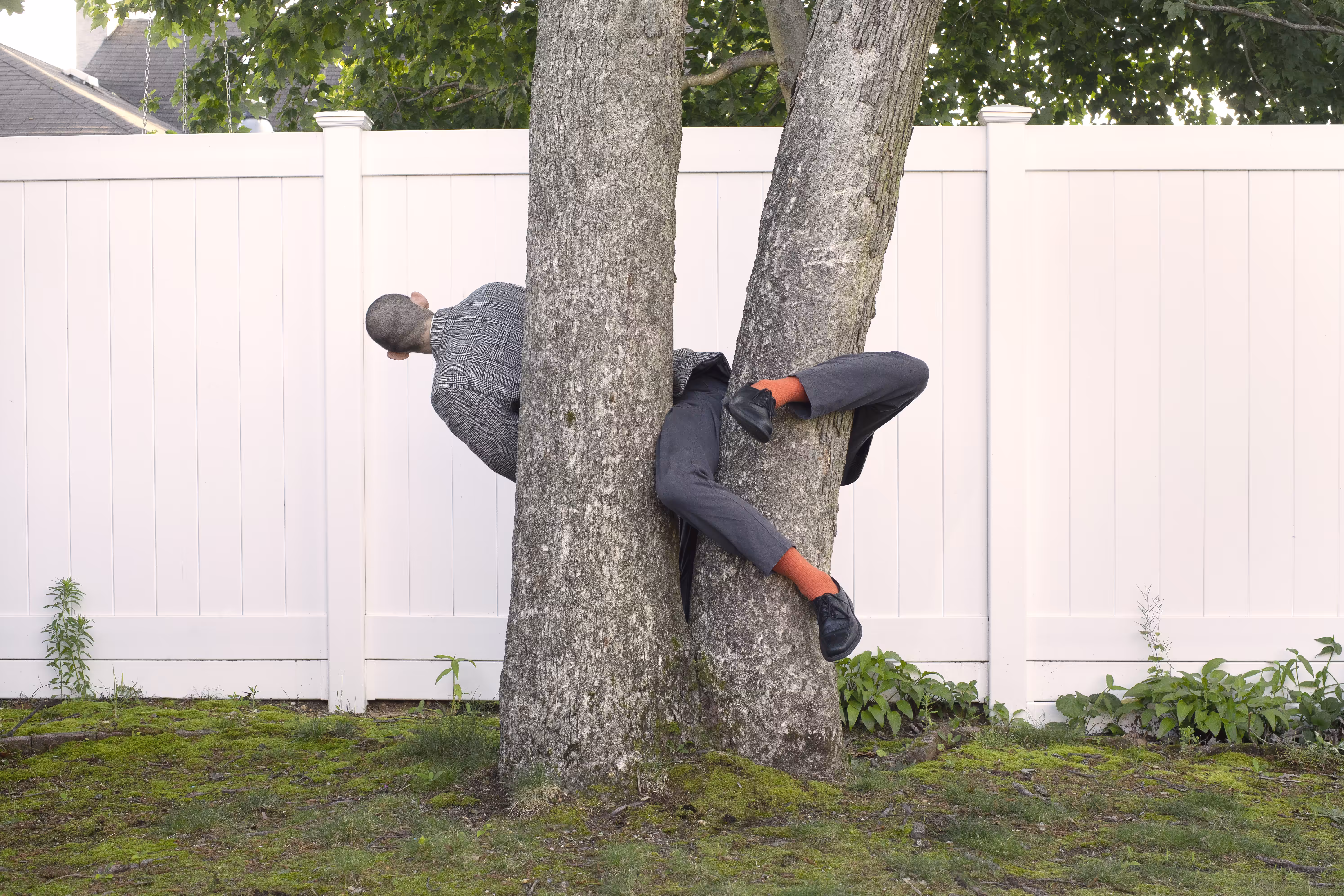 Unorthodox methods of achieving the American Dream