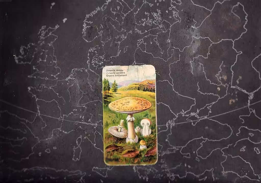 Europa