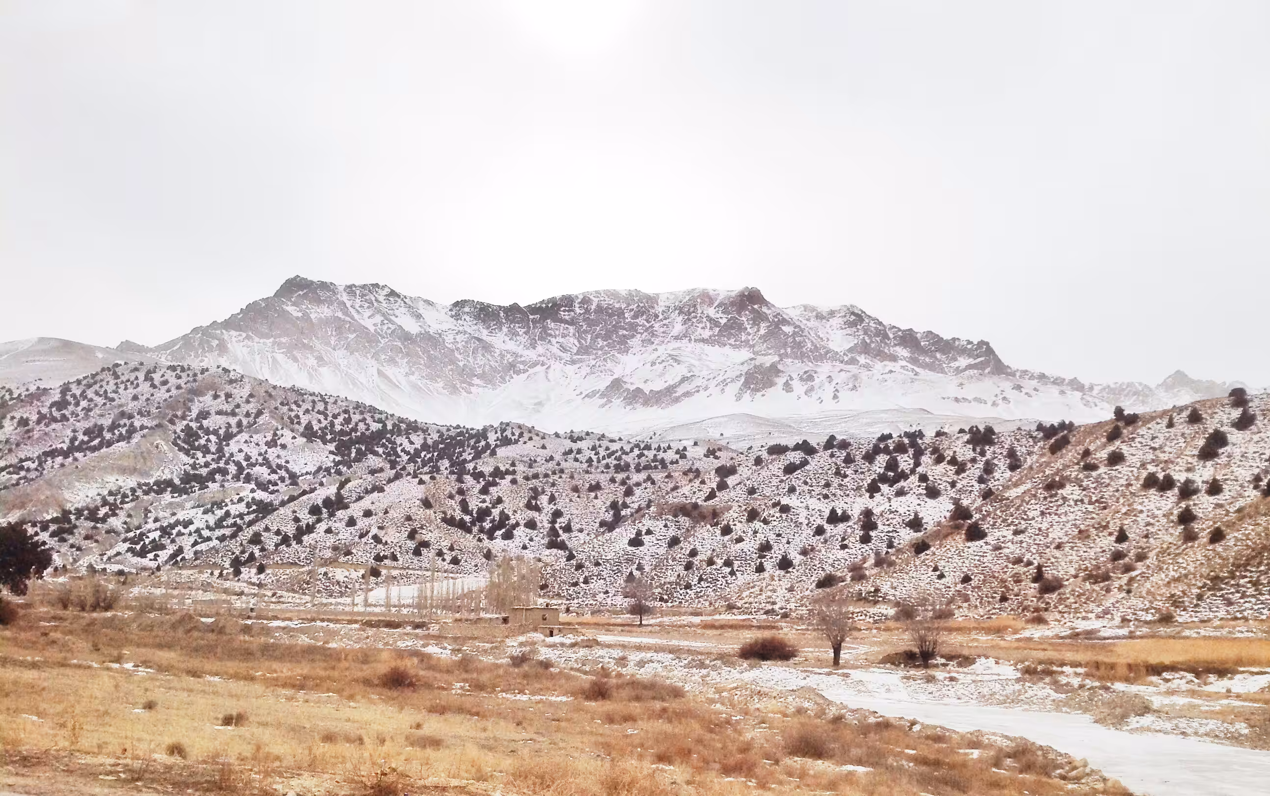 The Cold Mountain