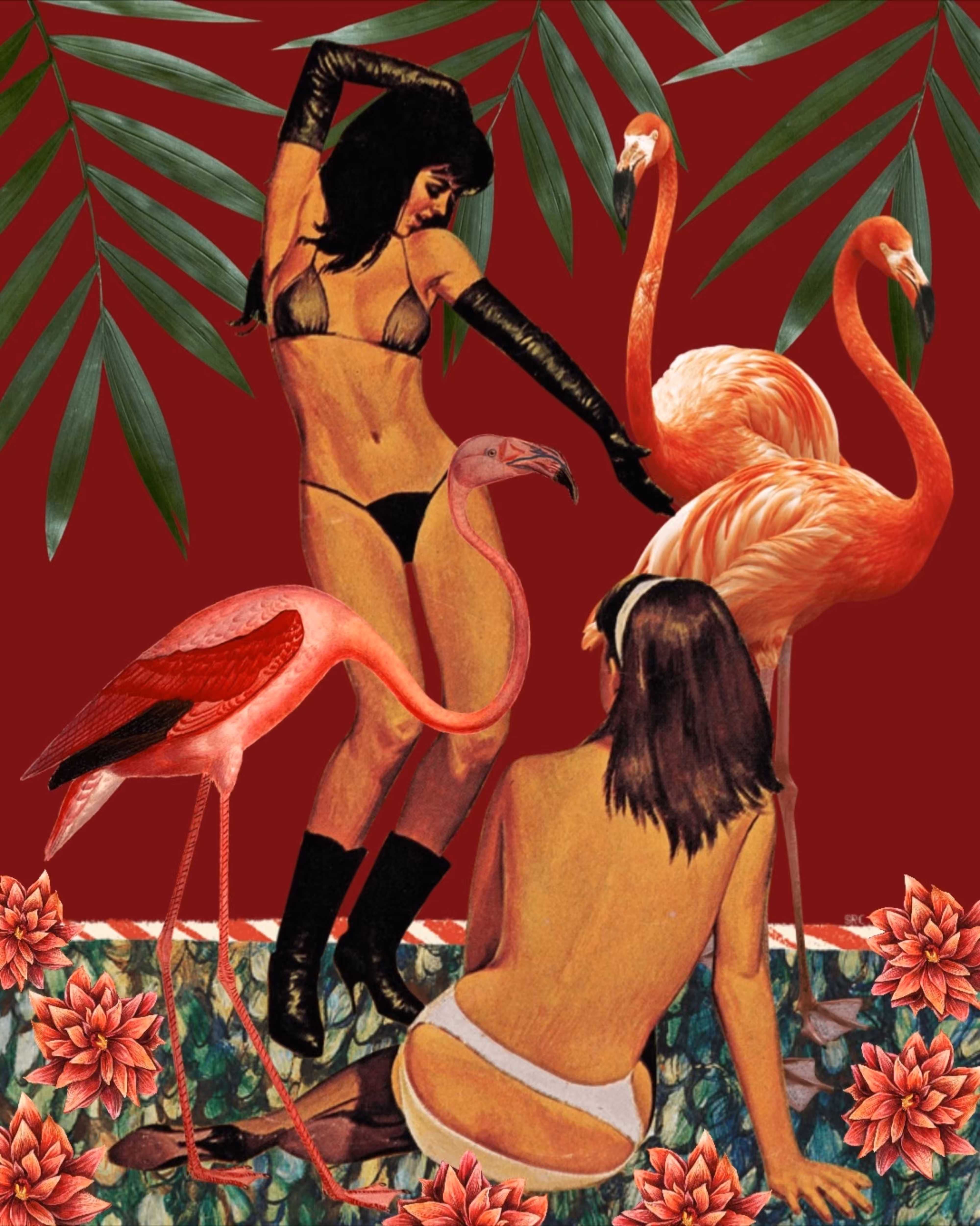 Flamingo Dancer