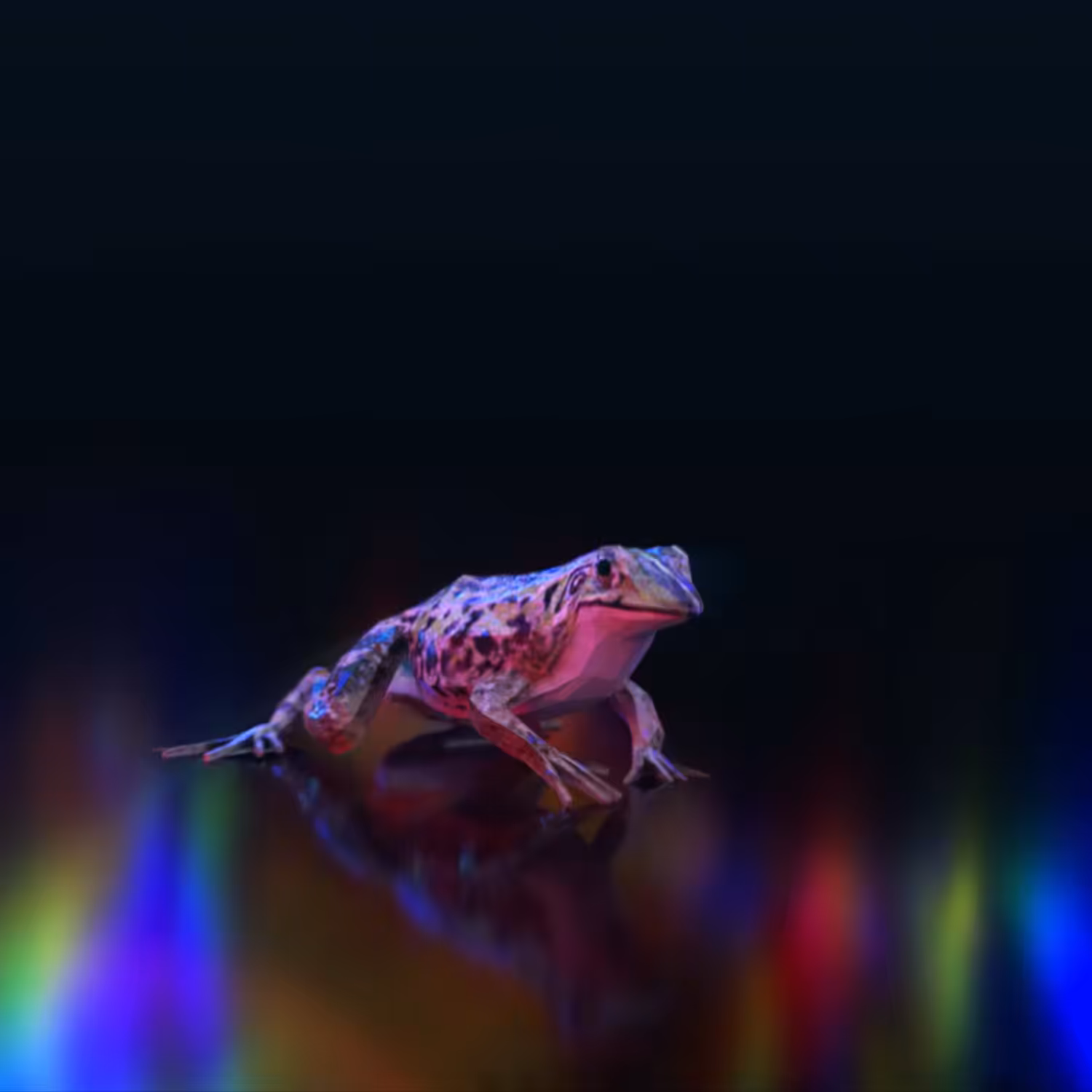 MetaFrog