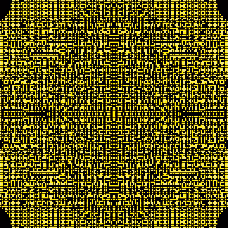 Cellular Canvas #263