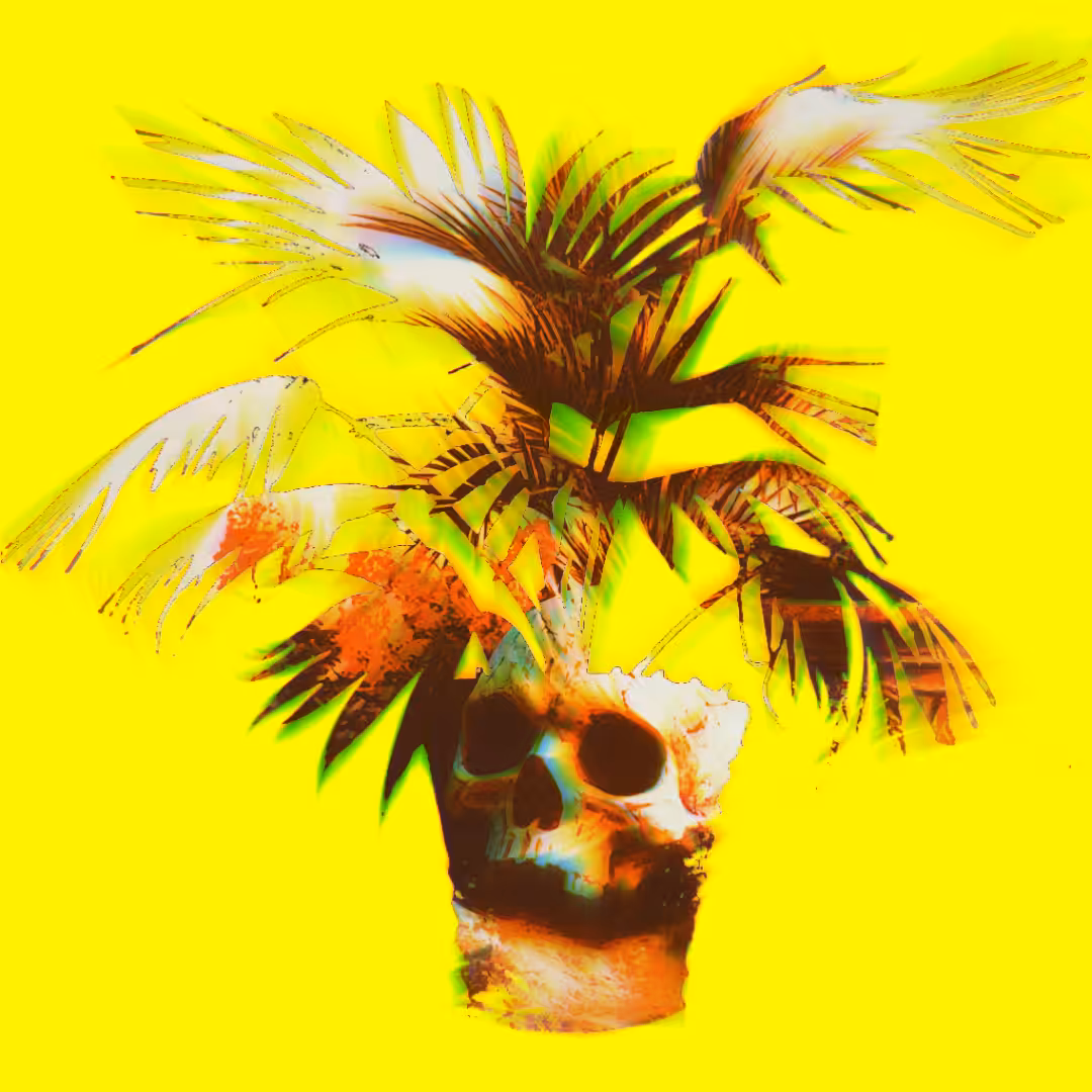 Proof of Palm – jonCates (2025)
