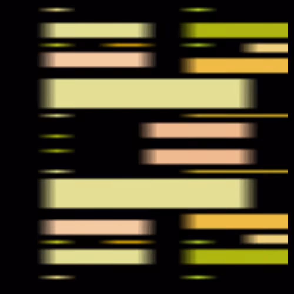 CONVEYOR BELTS UNPURSUED #6