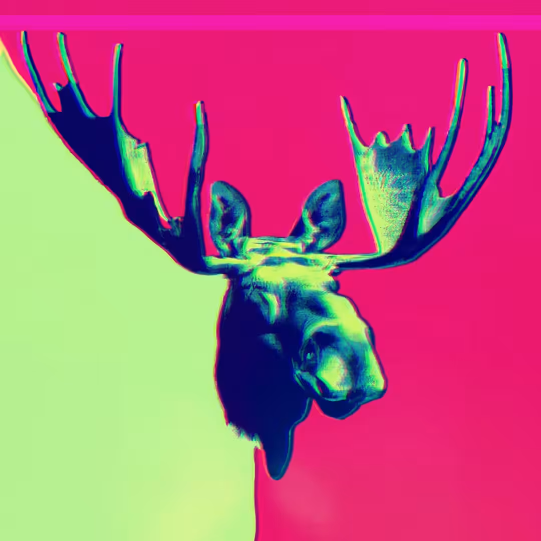 MOOSE - SA#016