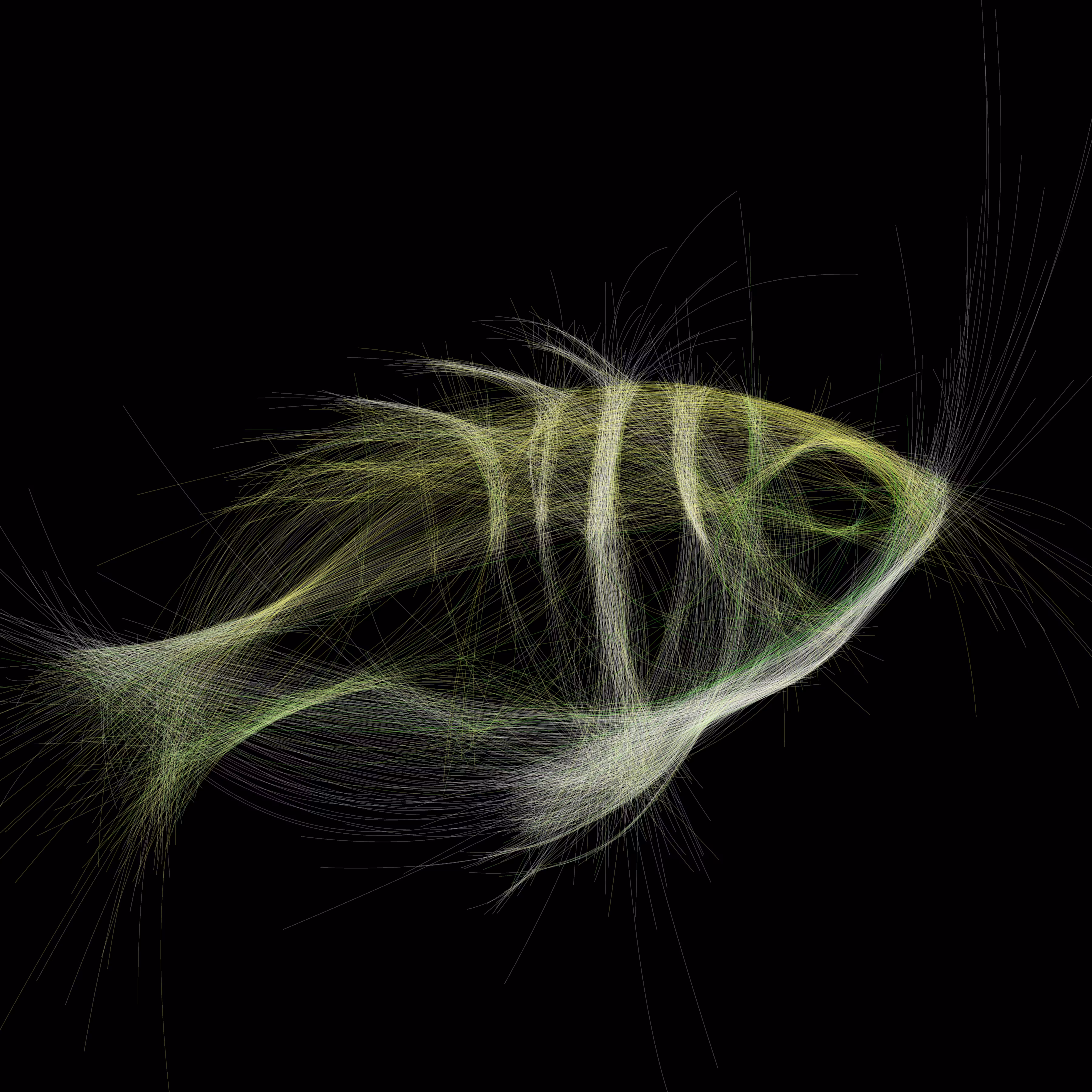 Underwater 216