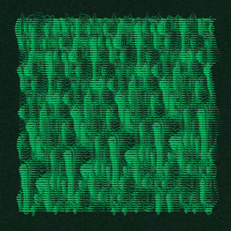 Rorate #11