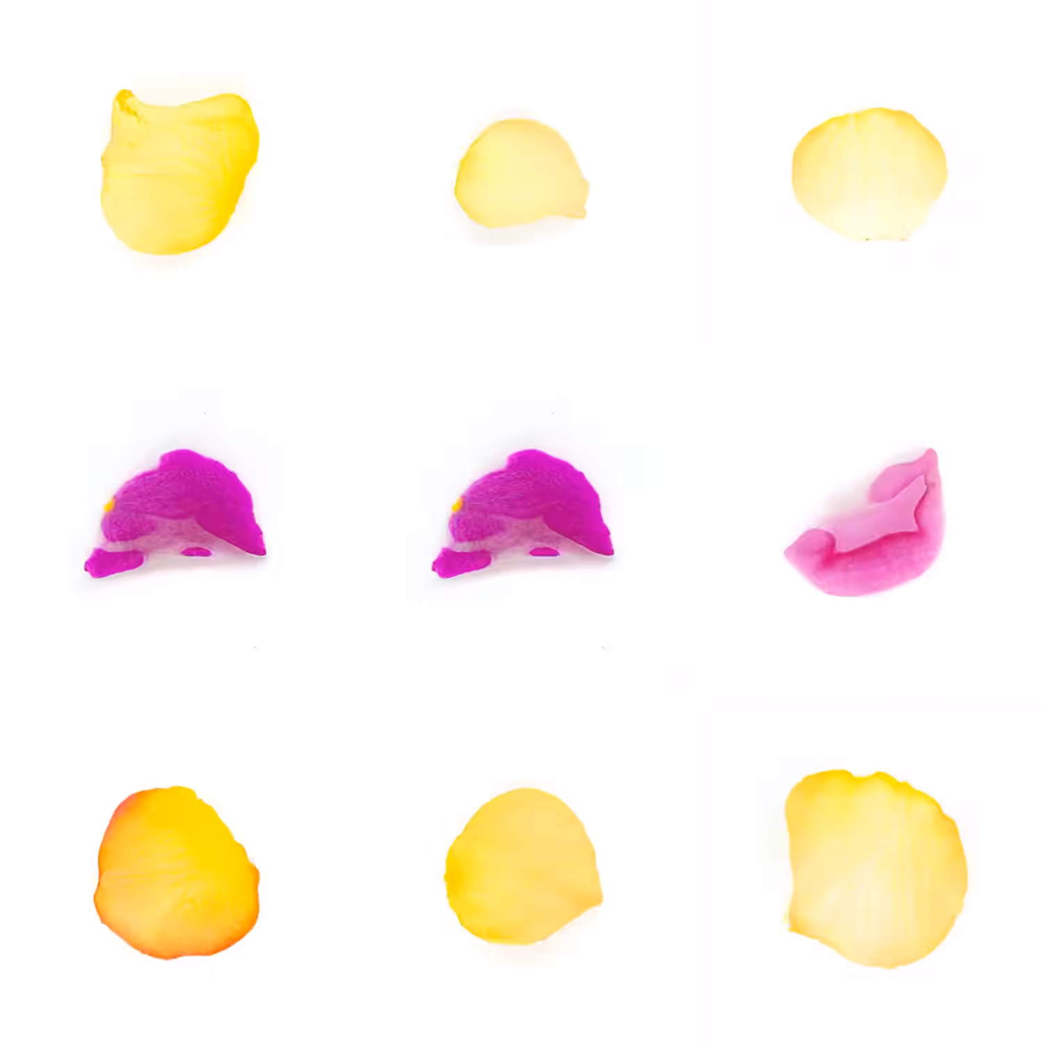 Infinite Petals 3x3#3204