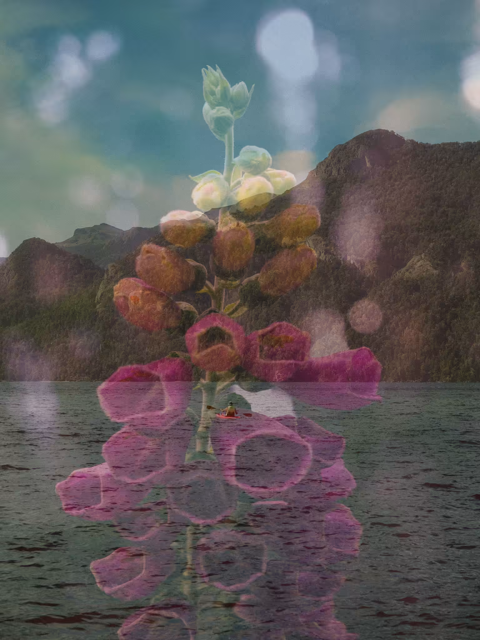 Reflejos del Ser