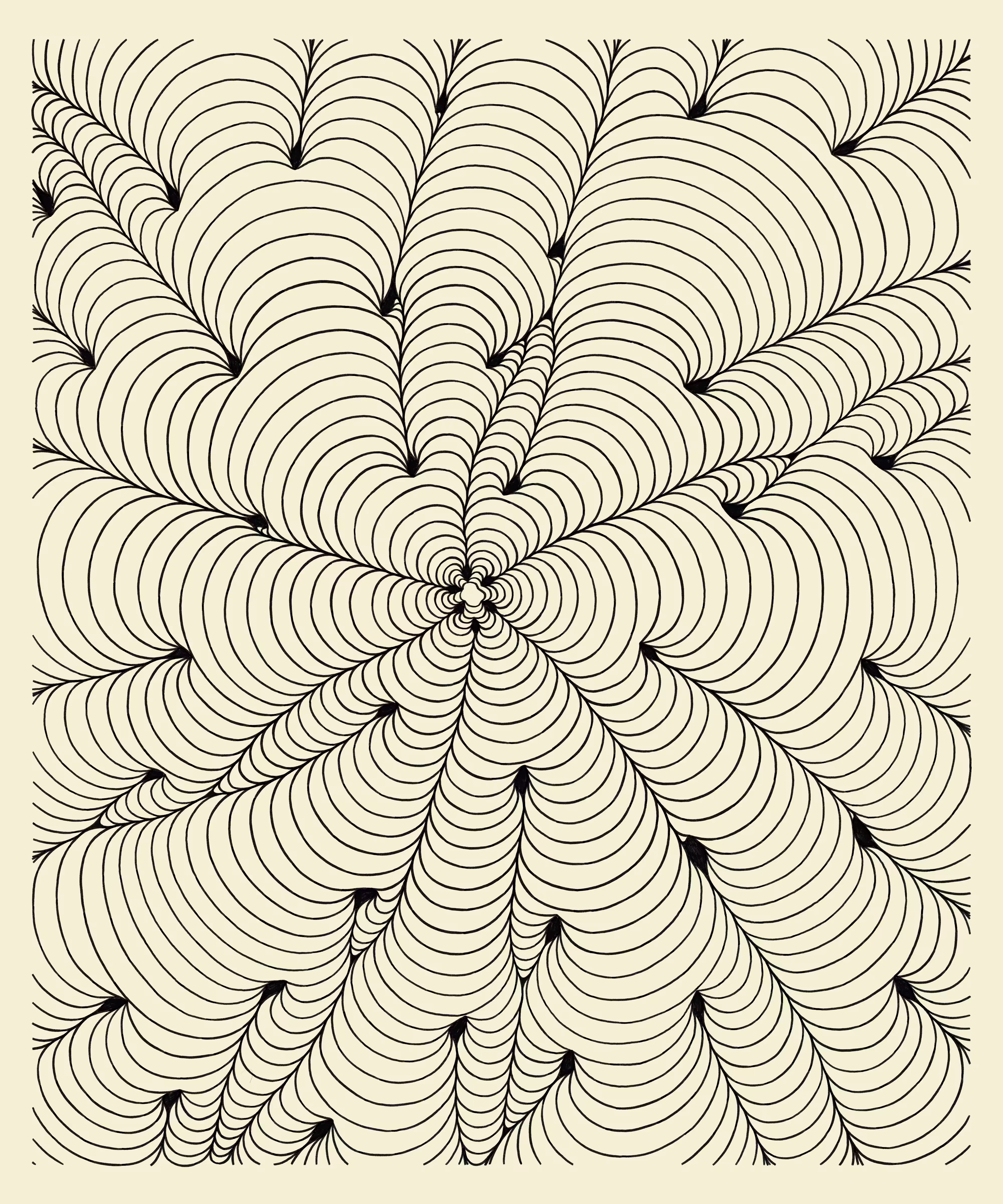 field 40