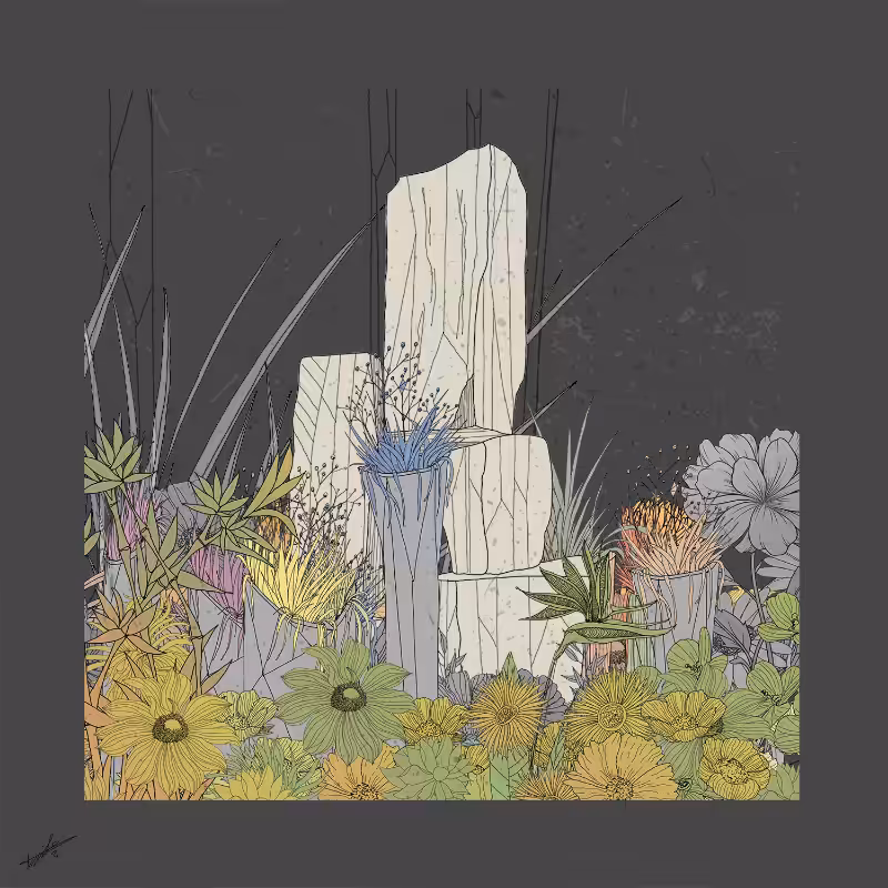Garden of Lines #Rocks_Blooms #11