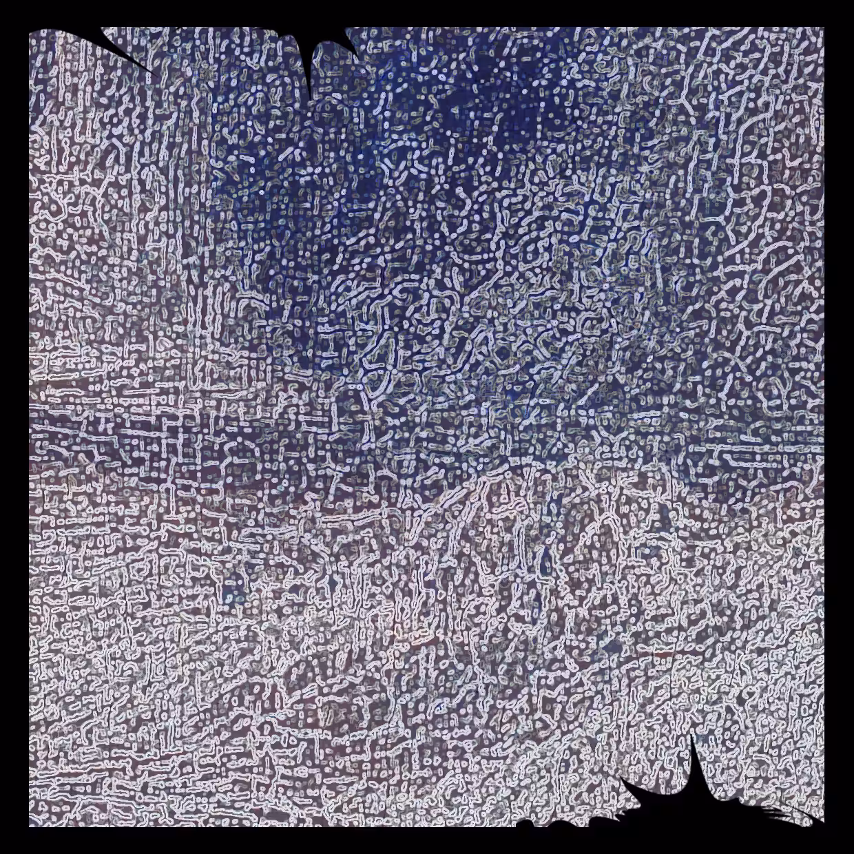 Cell 07