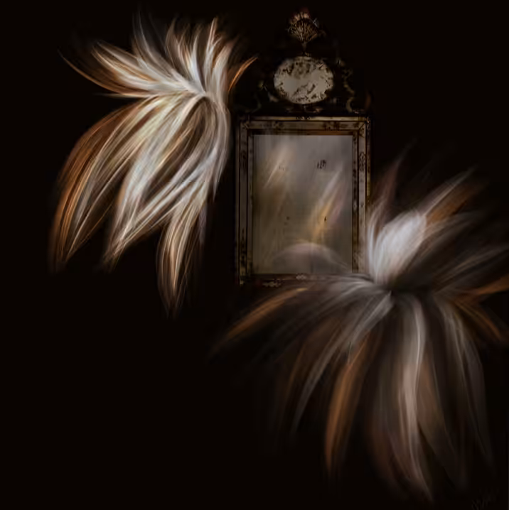 Reflections