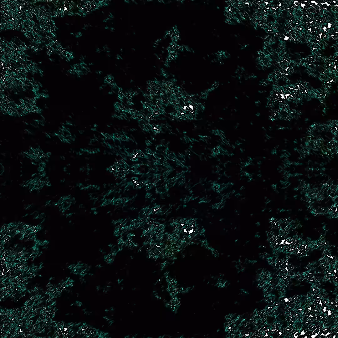SWAMP