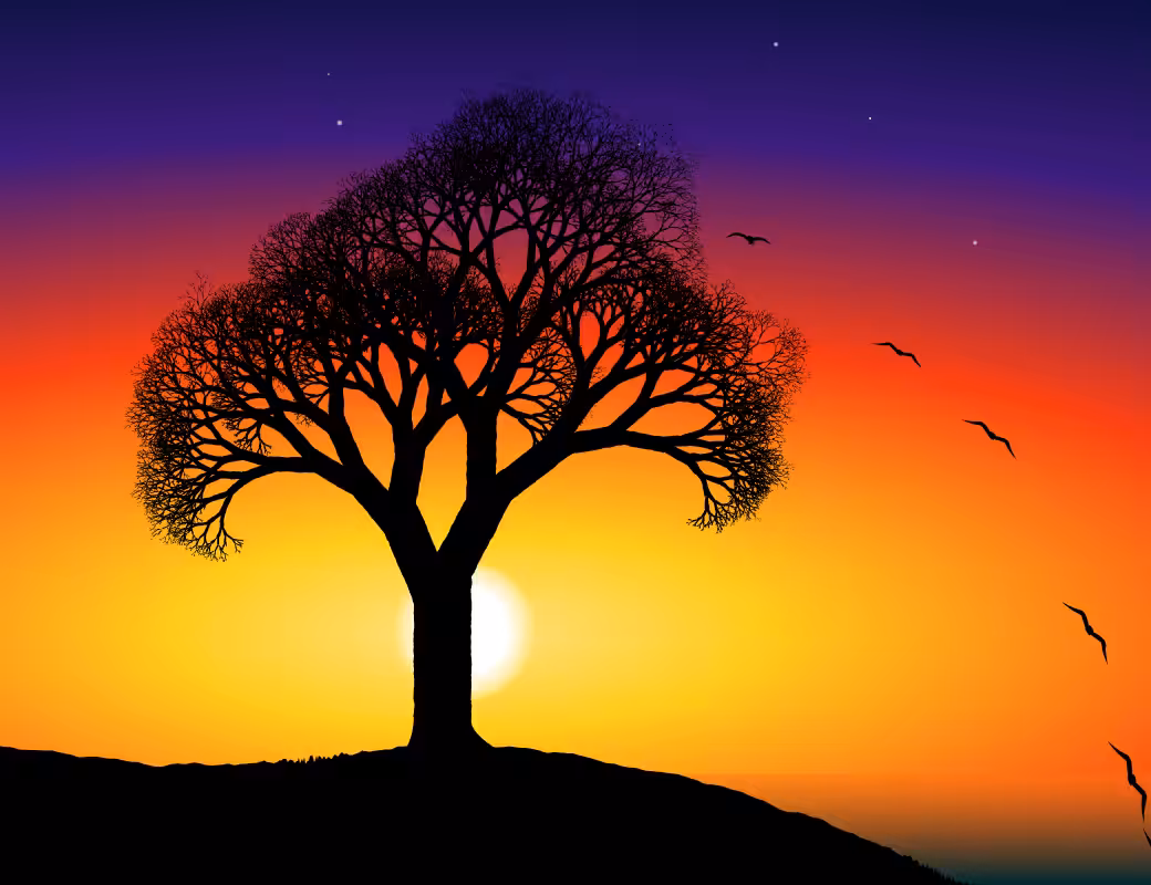 This Tree #14
