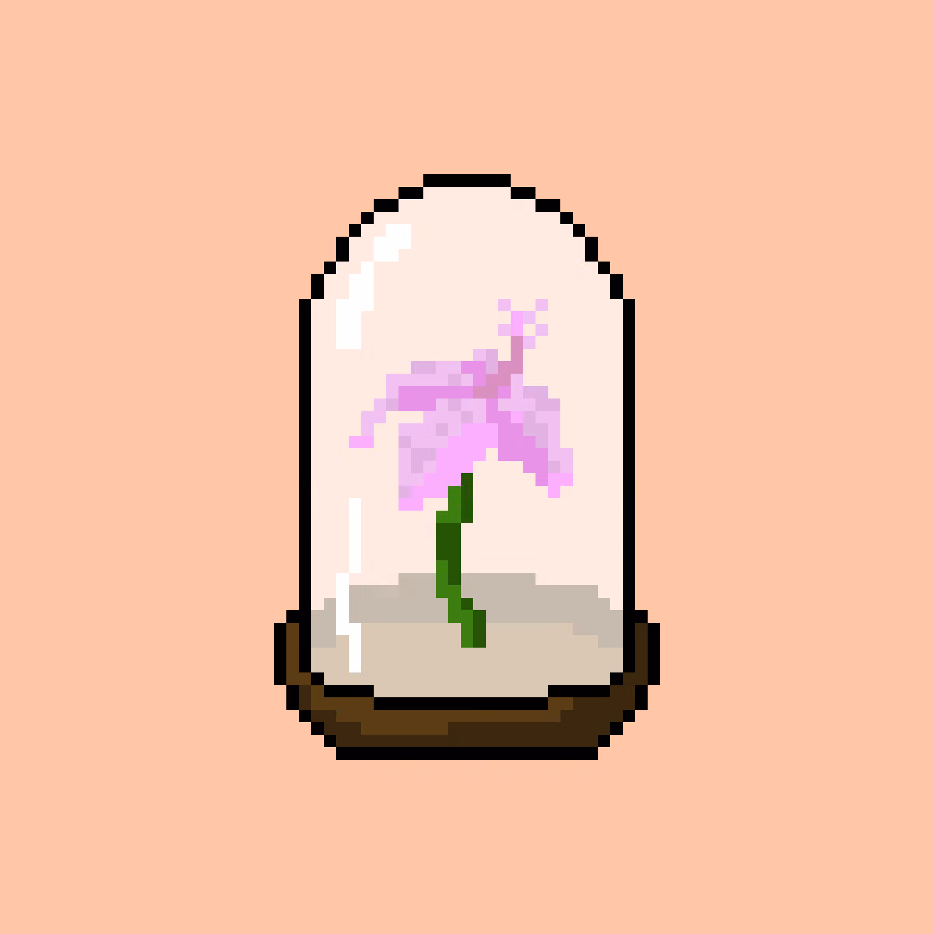 Dome 4 - Hibiscus