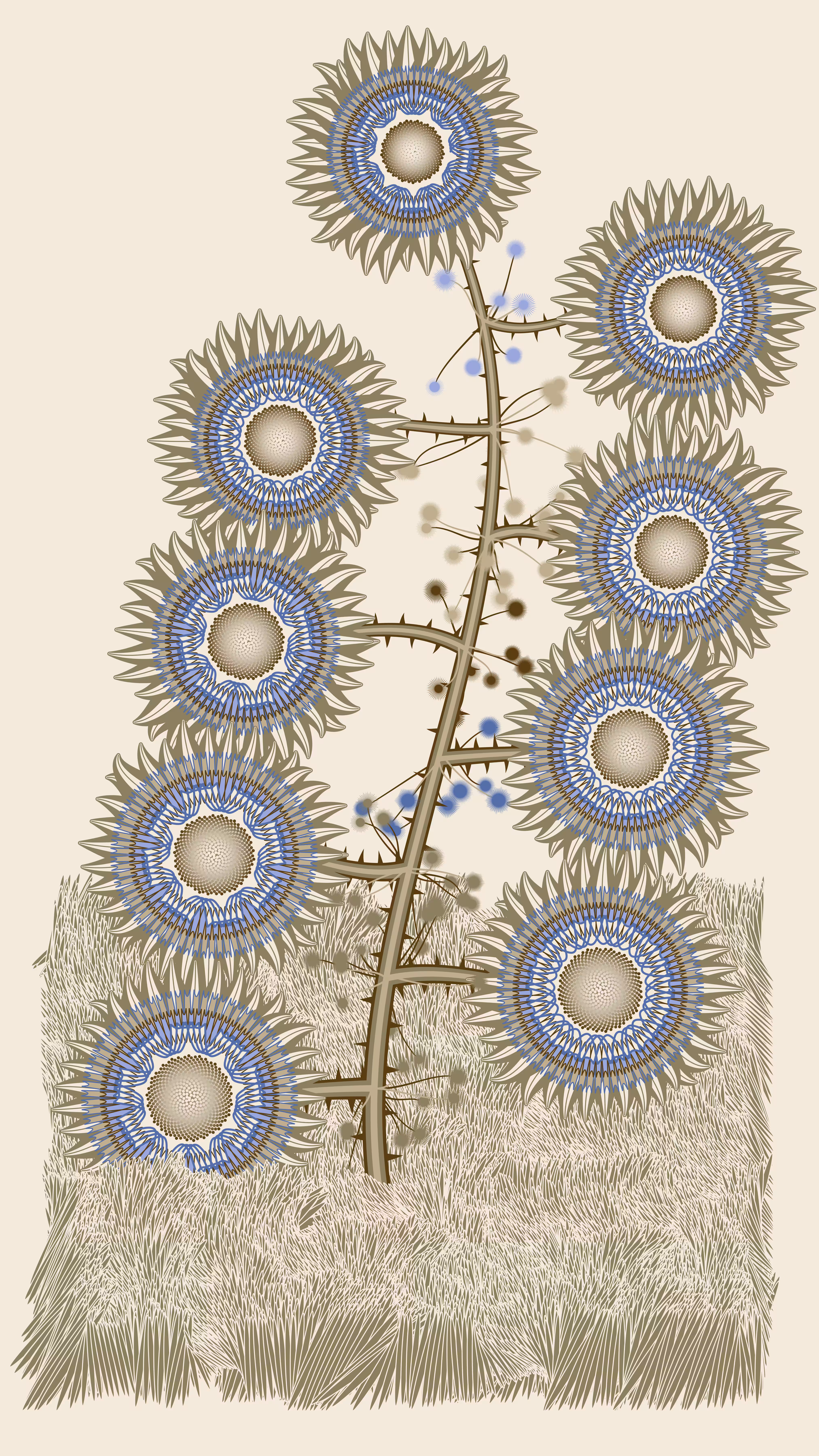 Alone sense (The Great Computational Herbarium)