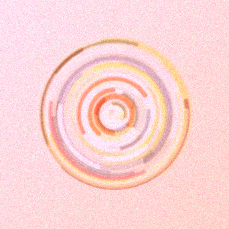 Wisp #985