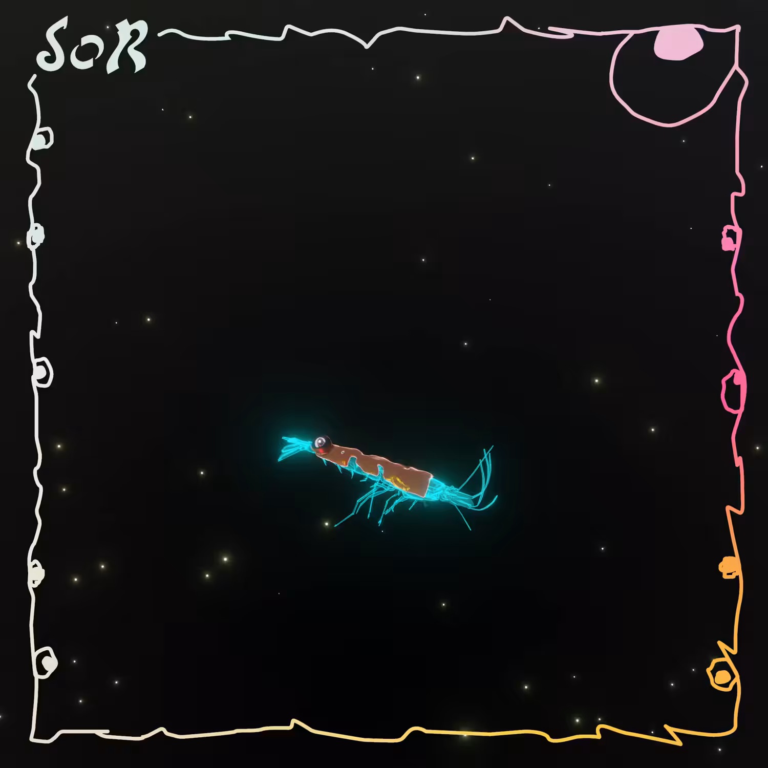 Shrimp #592