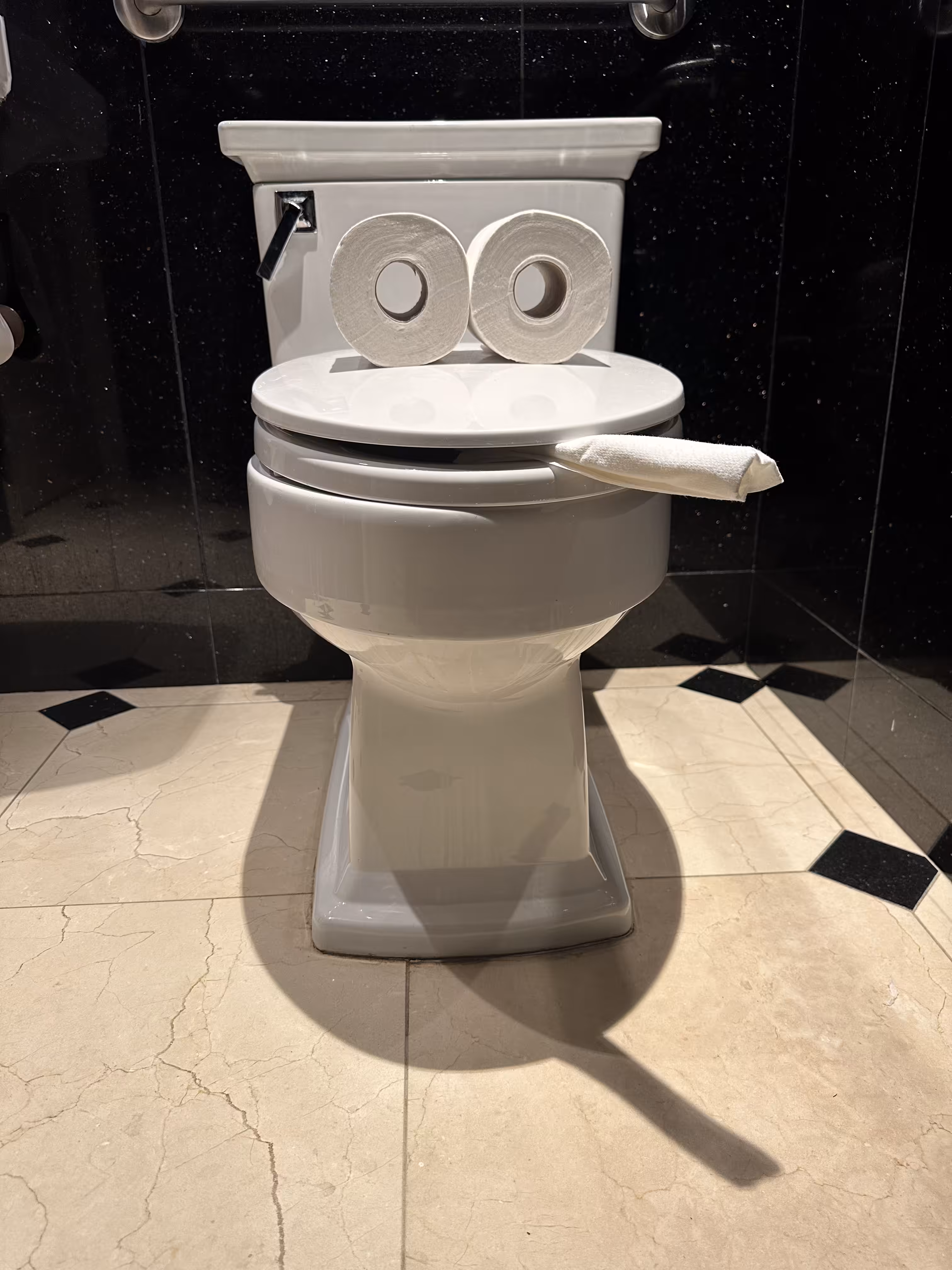 Pepe Toilets NYC #14