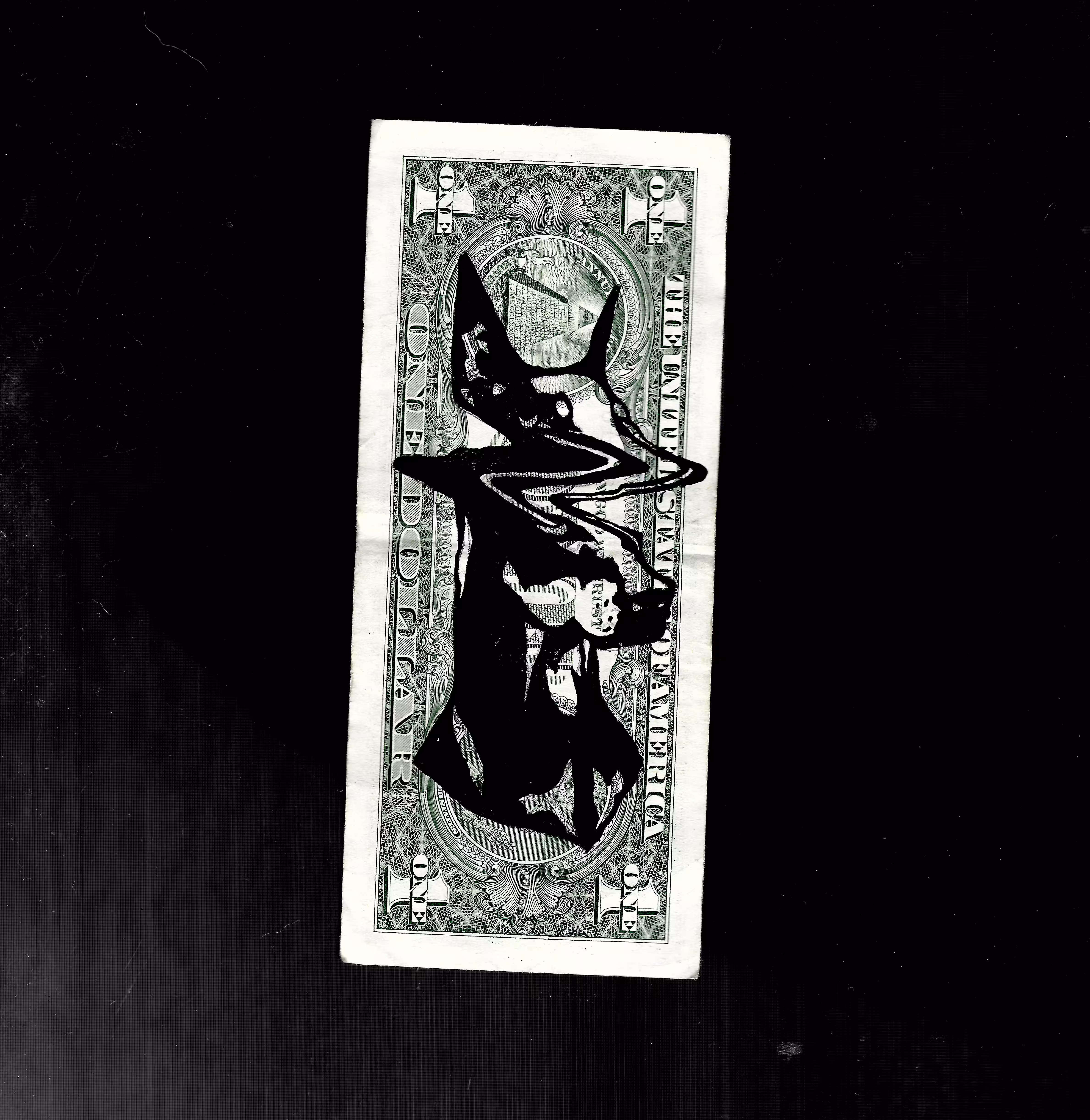 Doberman, A Still Life