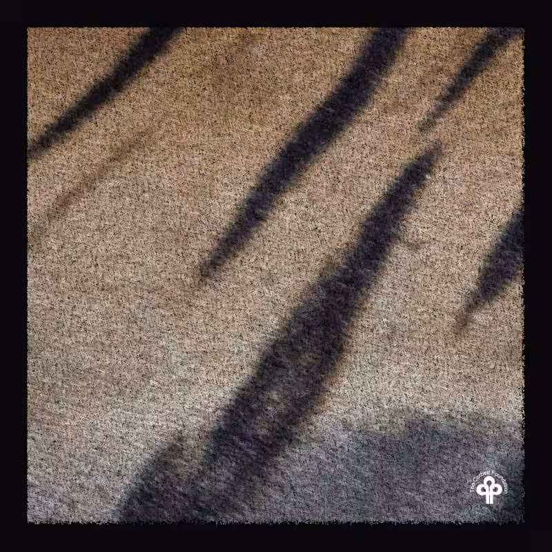 (re)generative tigers #18