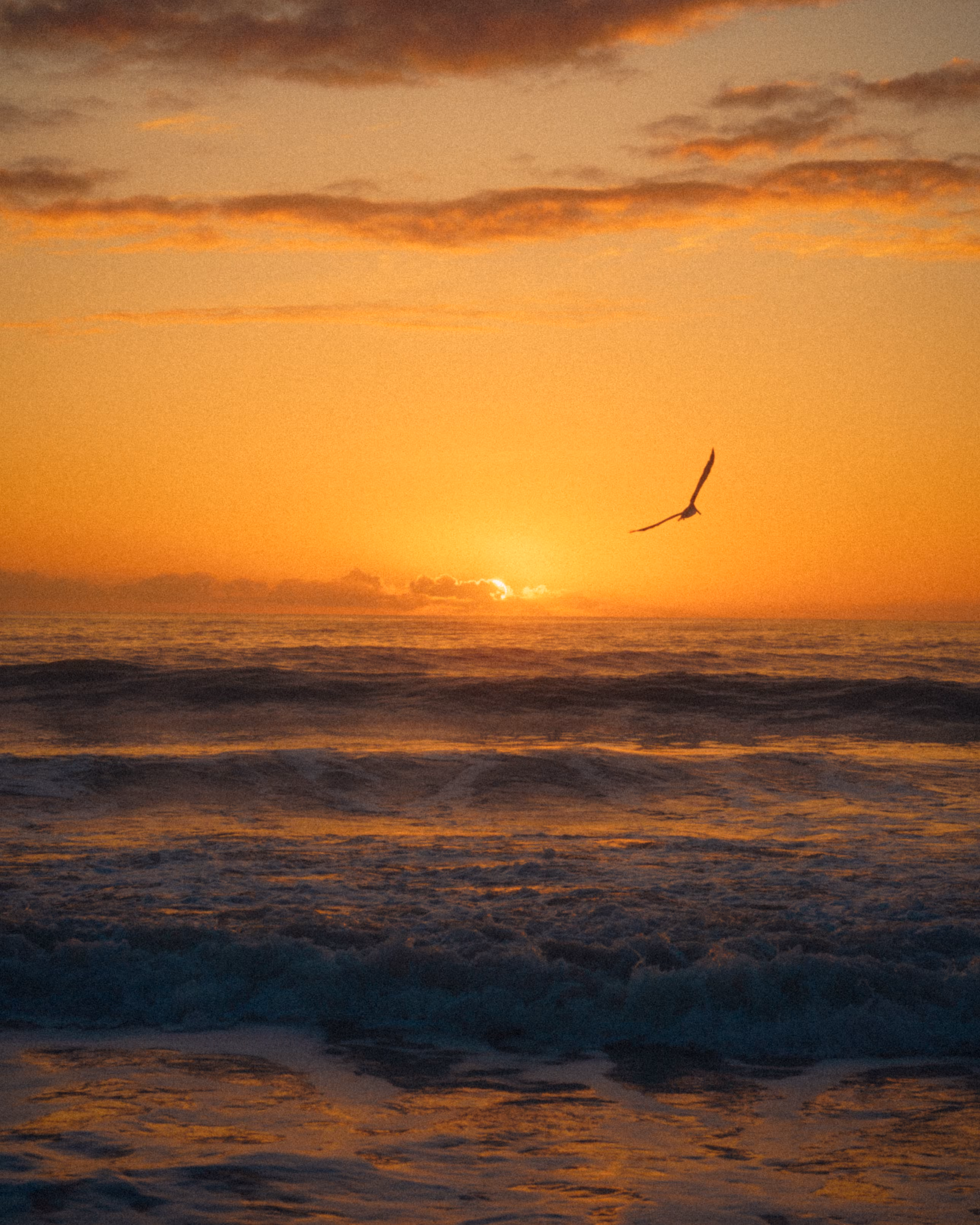 GRATITUDE