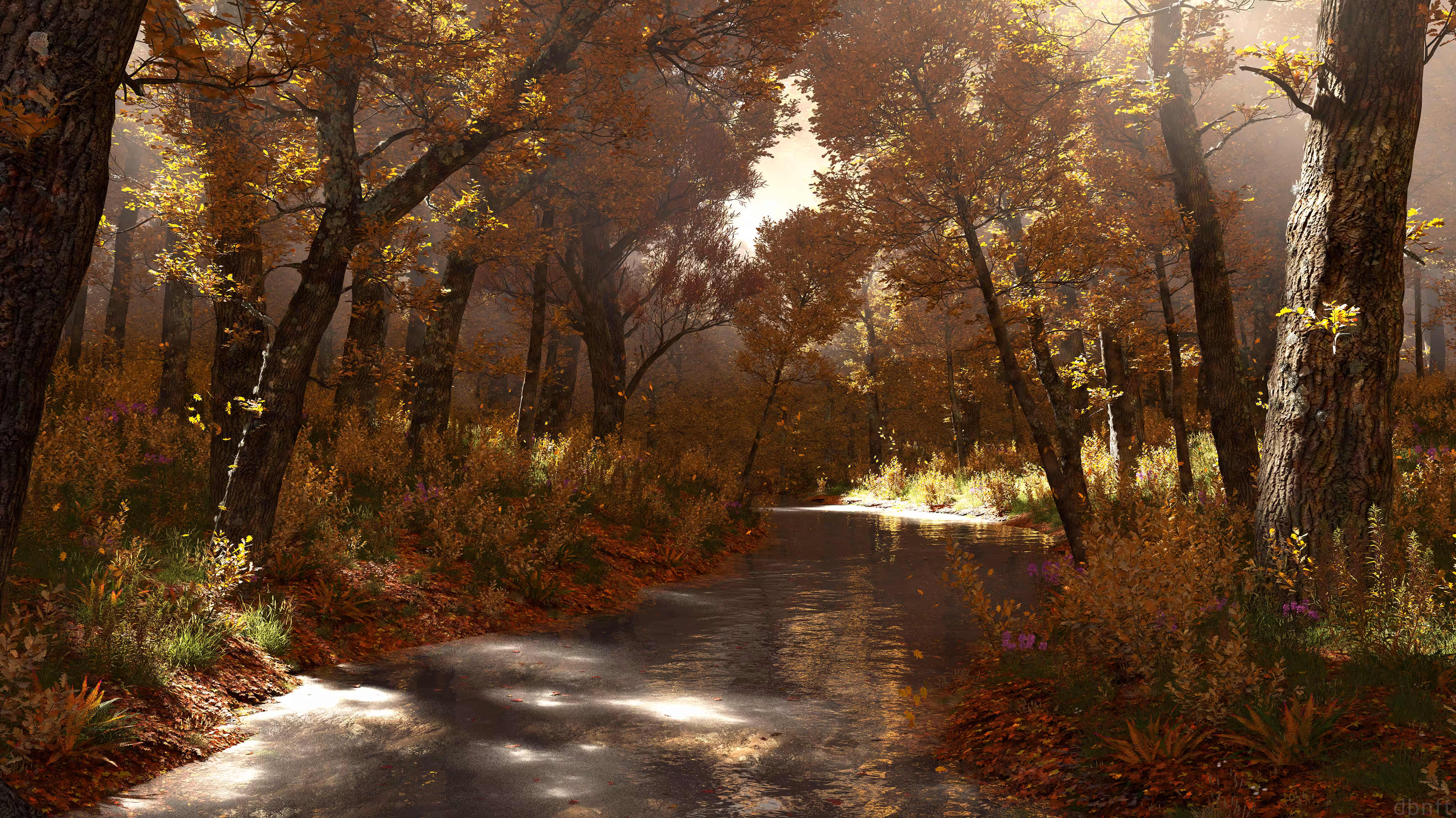 Shady Creek [Autumn] (2022)