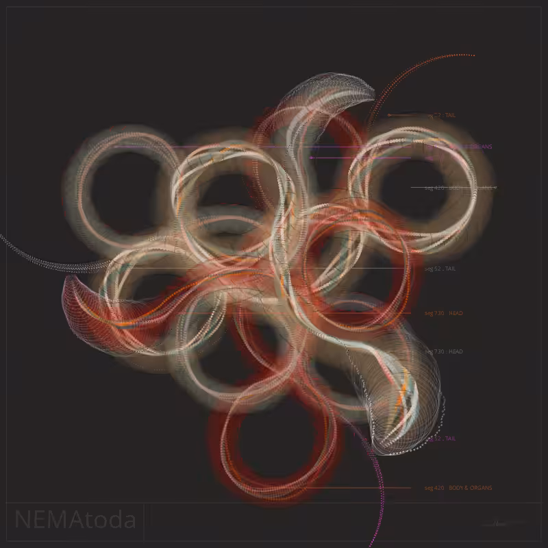 NEMA #56