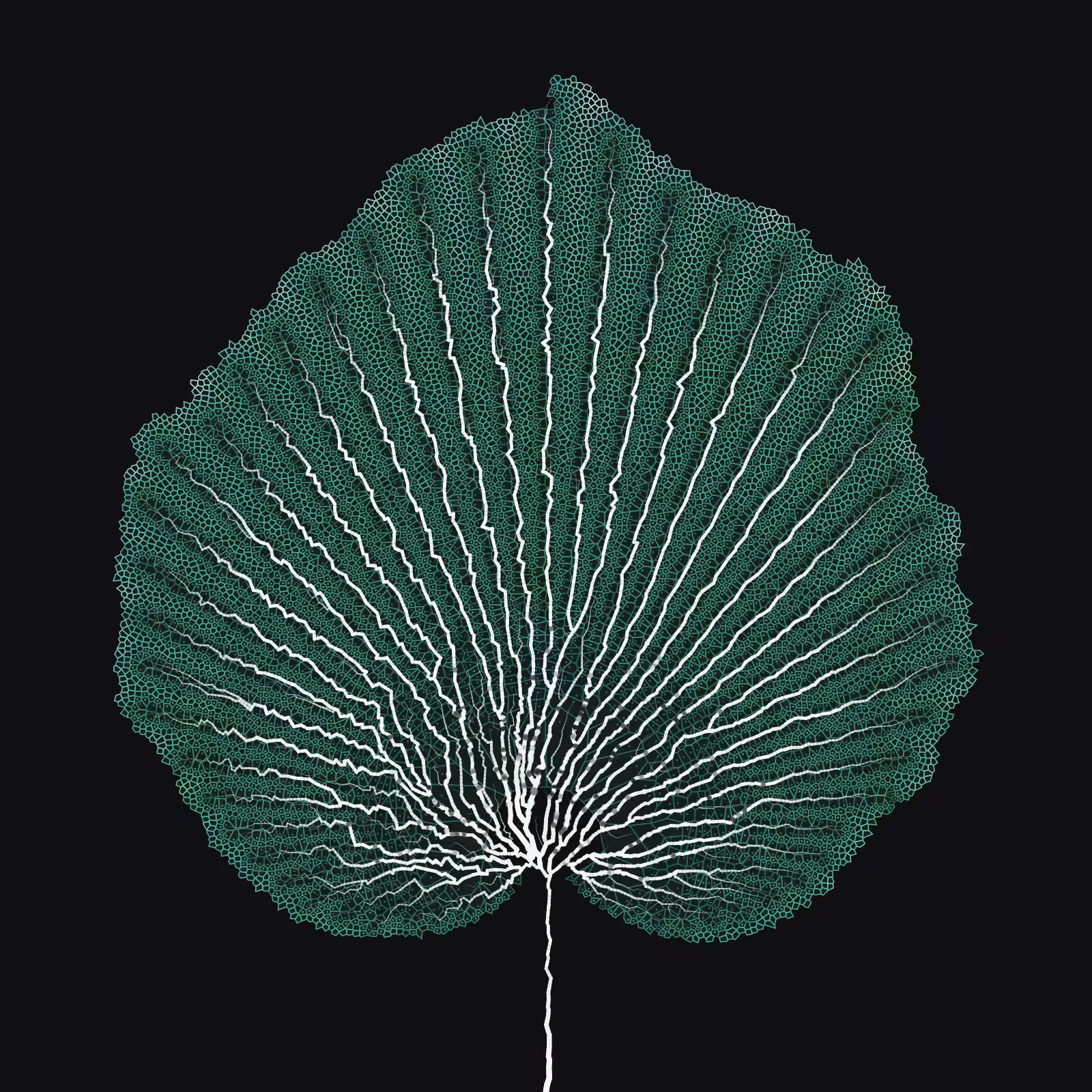 Leaf study #15