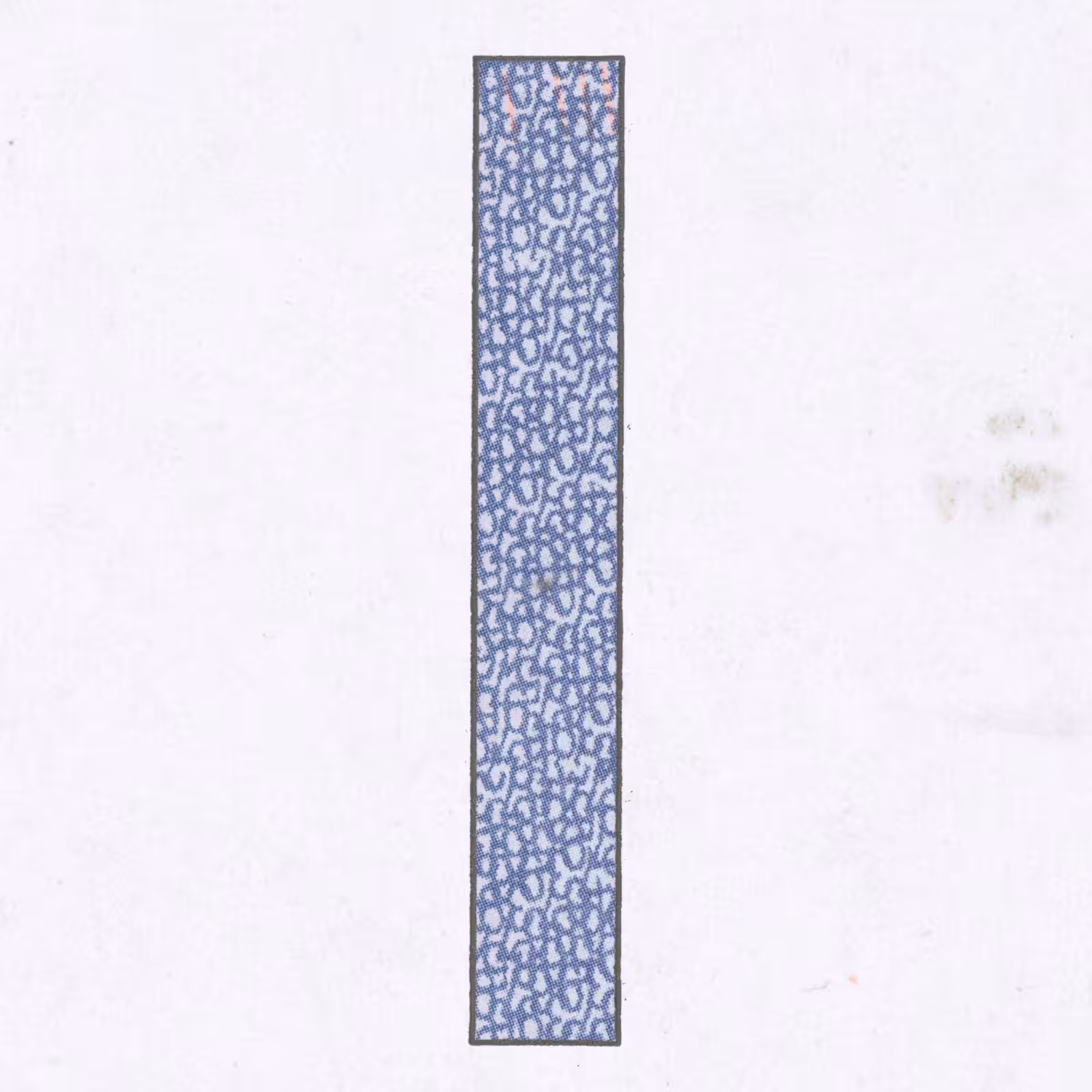 Zen Print 66