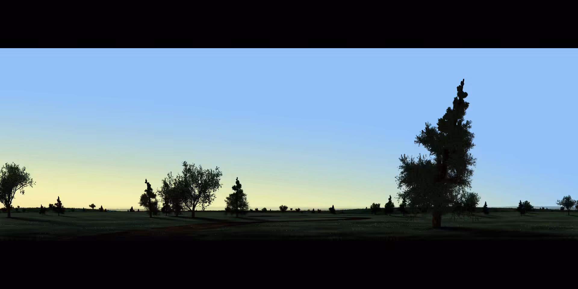 Mornings #16