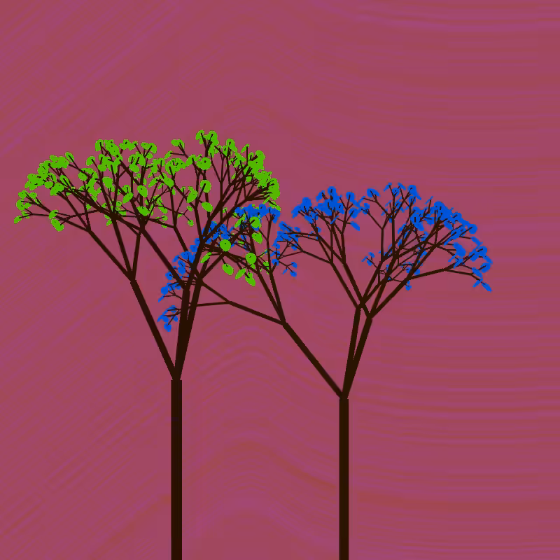 Two Trees #41