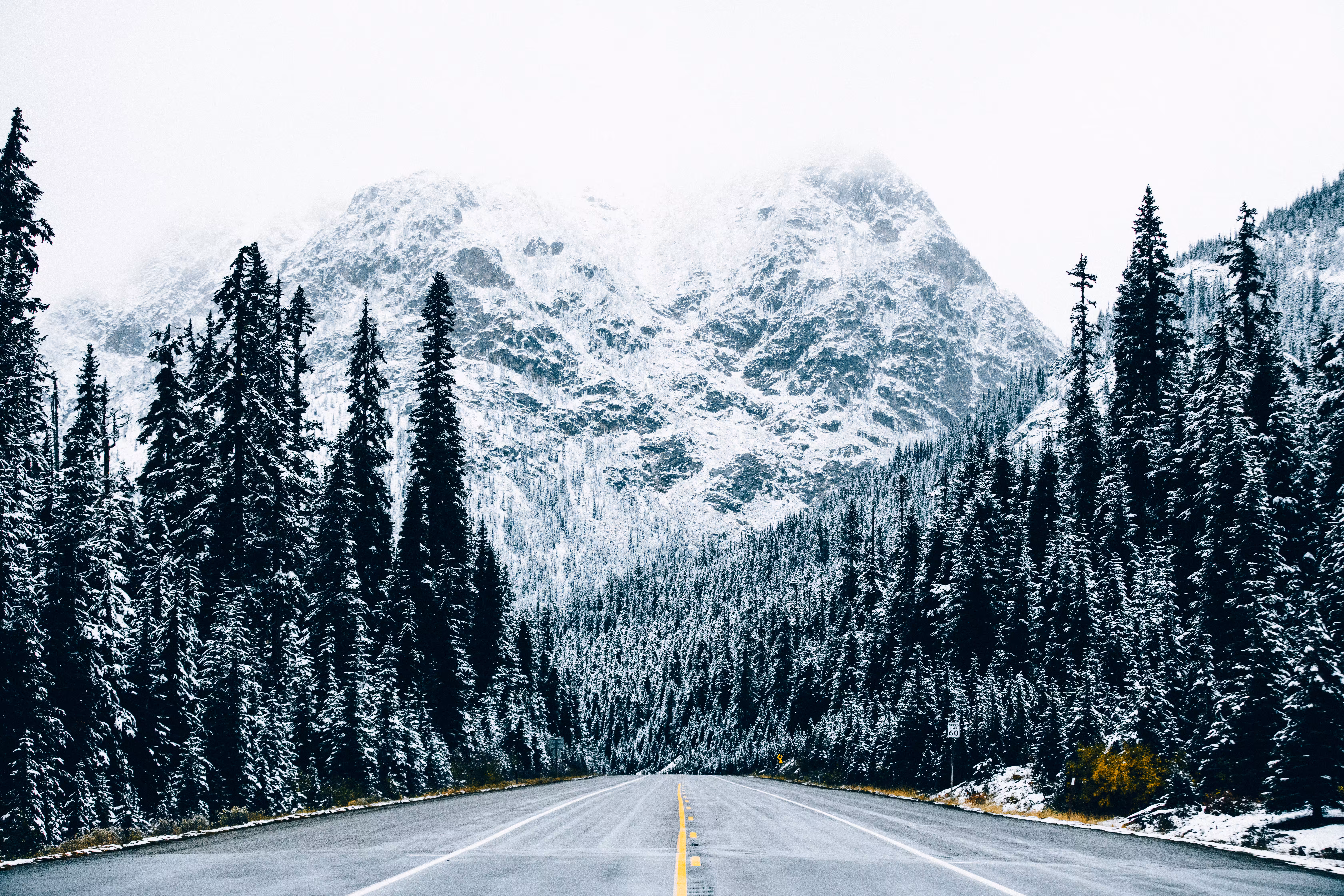 #01 "Long Road Home"