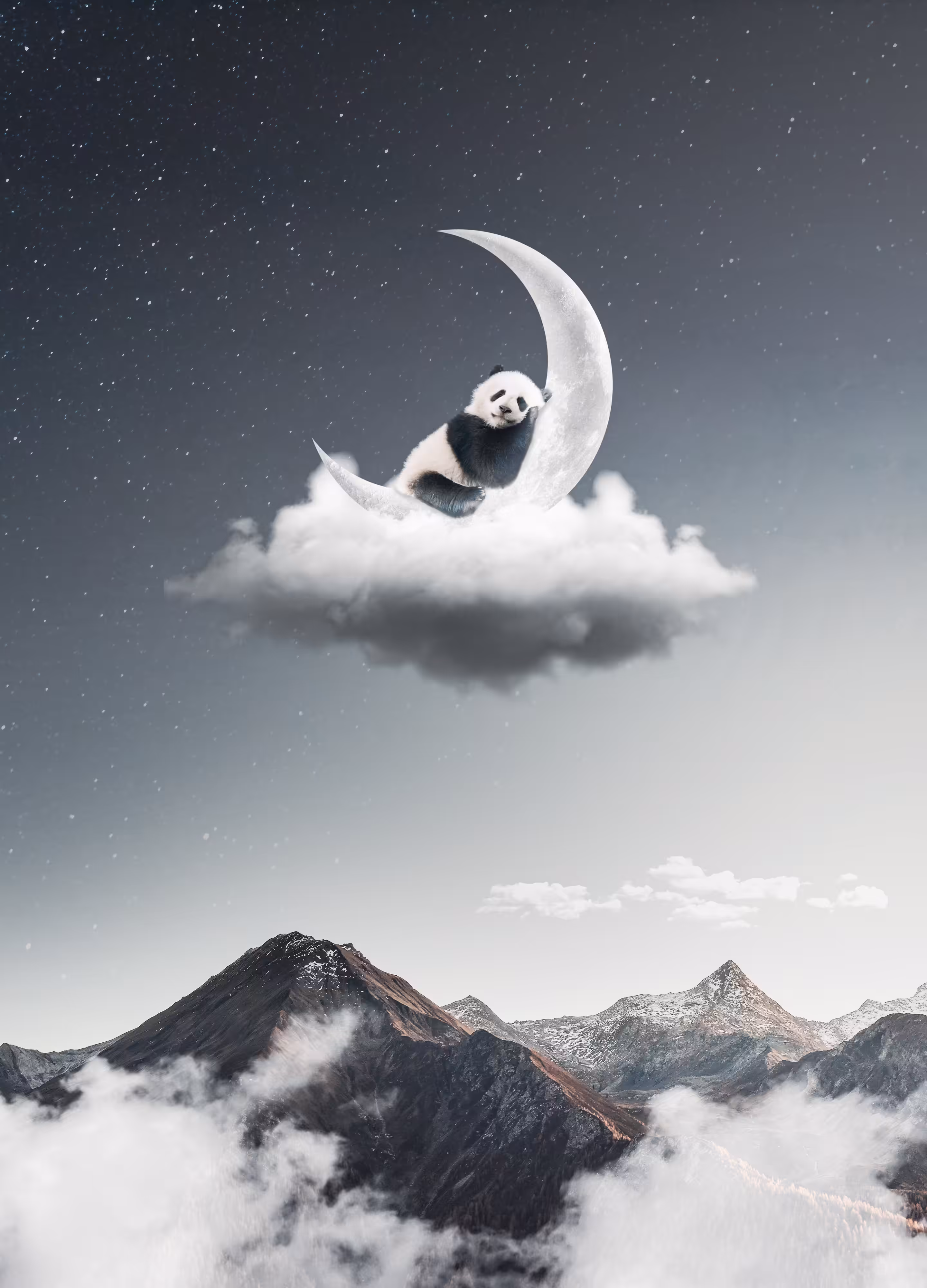 Panda's Dream