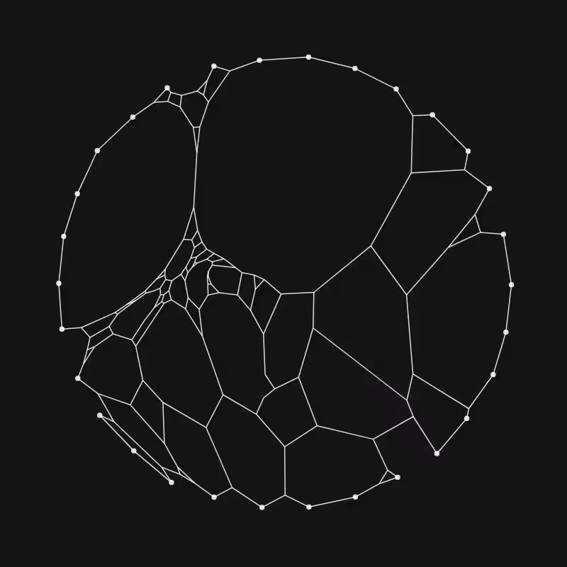 Elastic Web #77