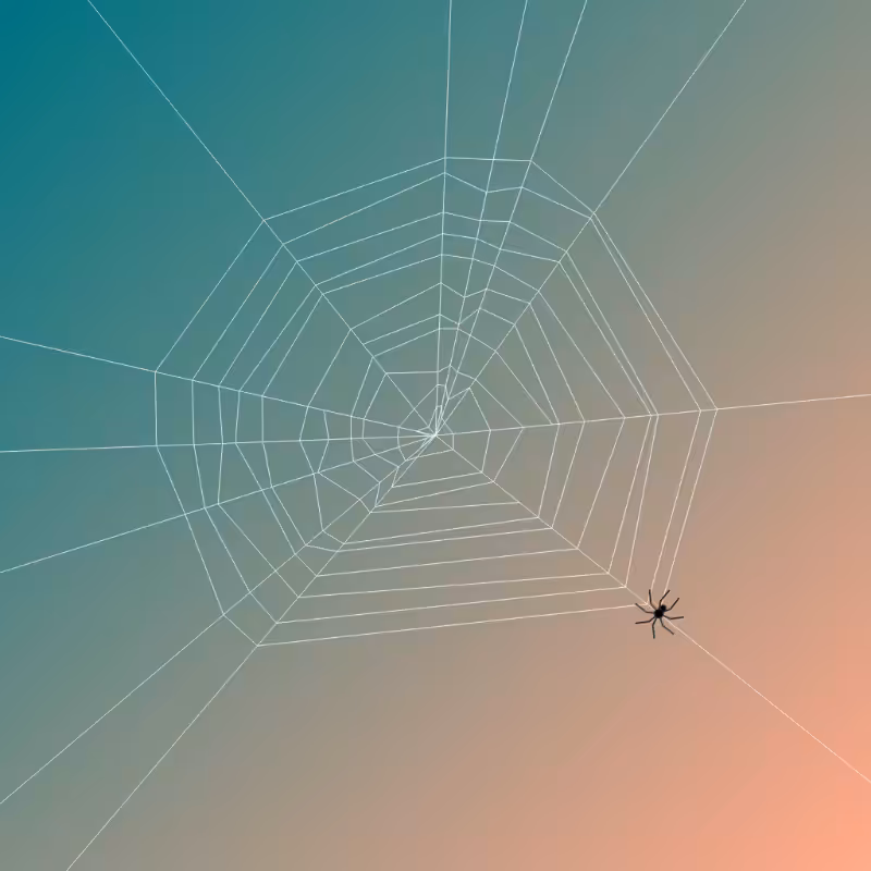Weaving Spiders #2