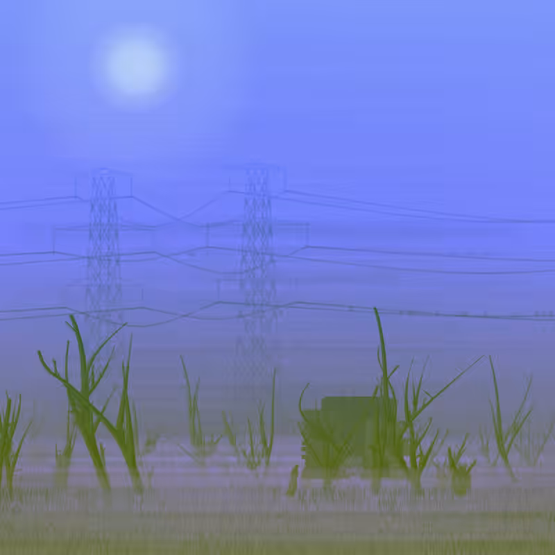 Morning Frost #15