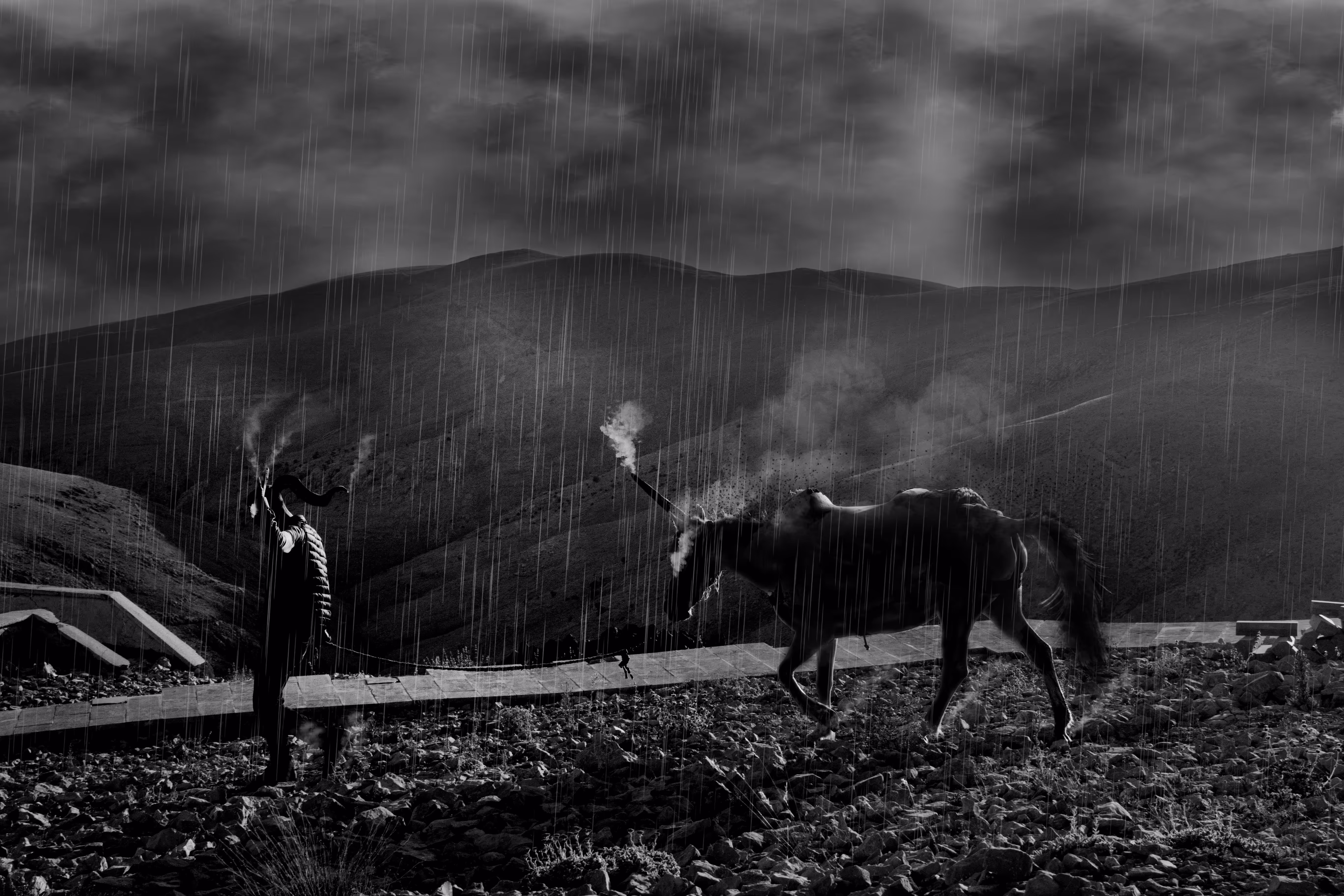 Cavalry