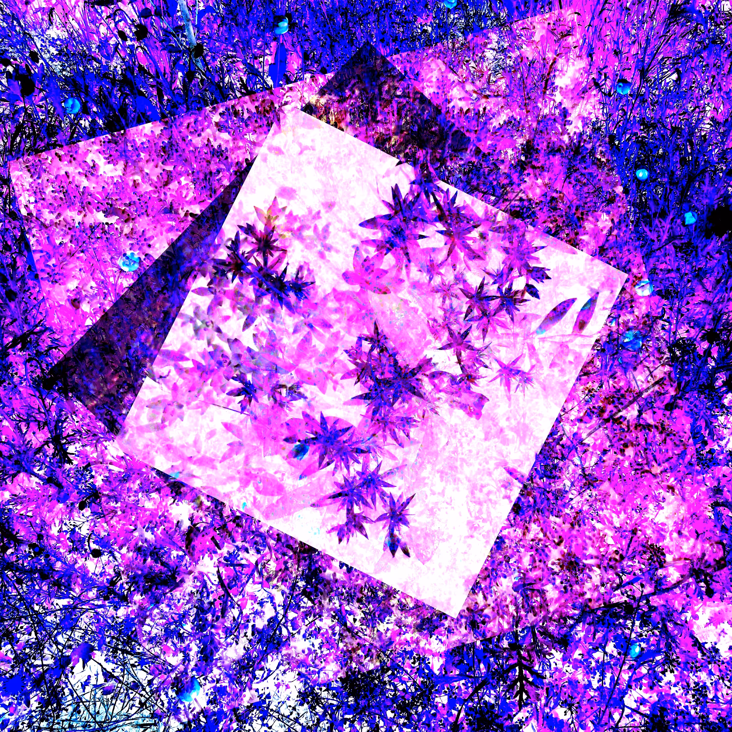 Trip 02010304