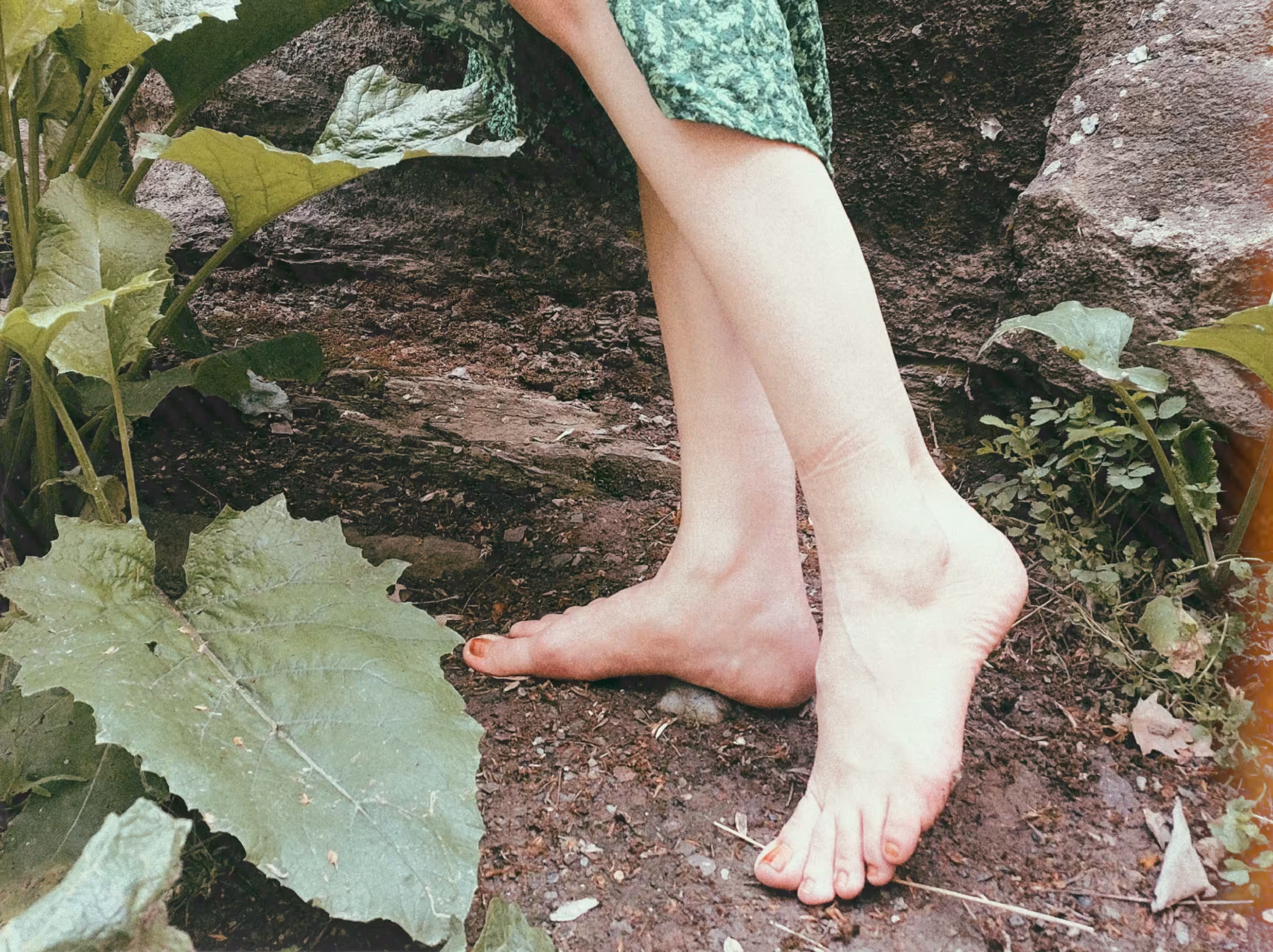 Rooted
